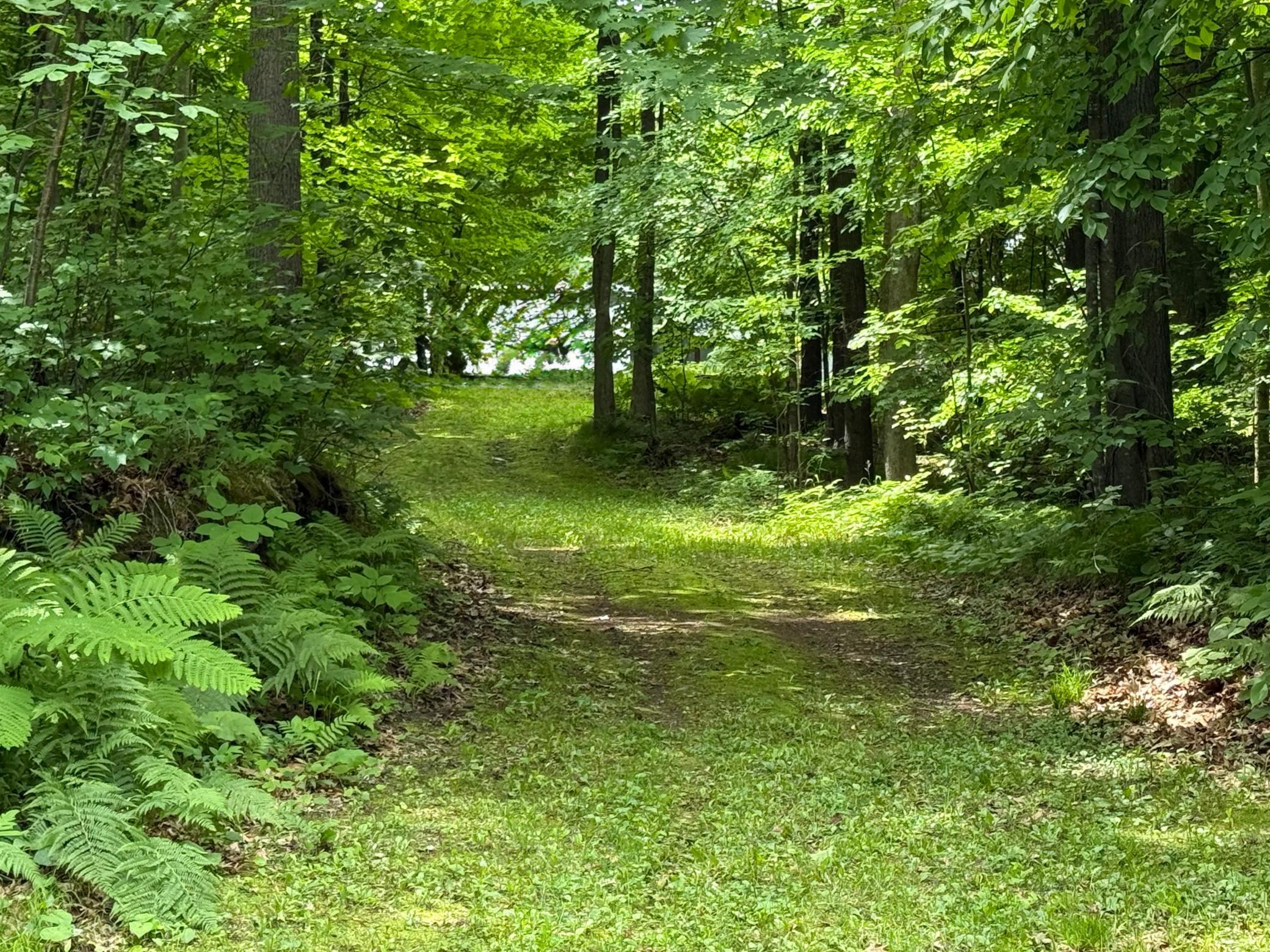 main property photo 62