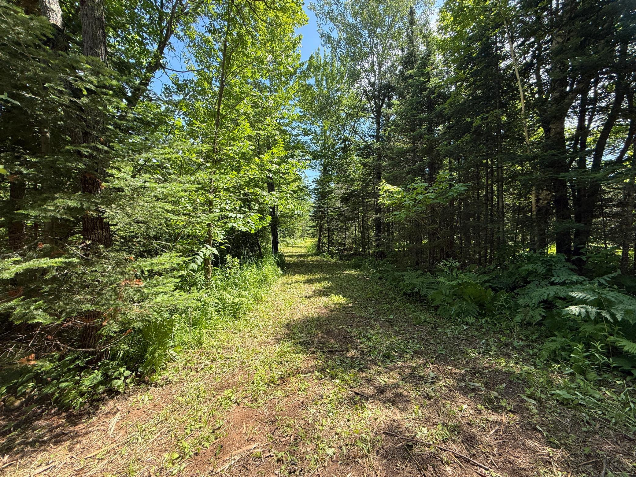 main property photo 11