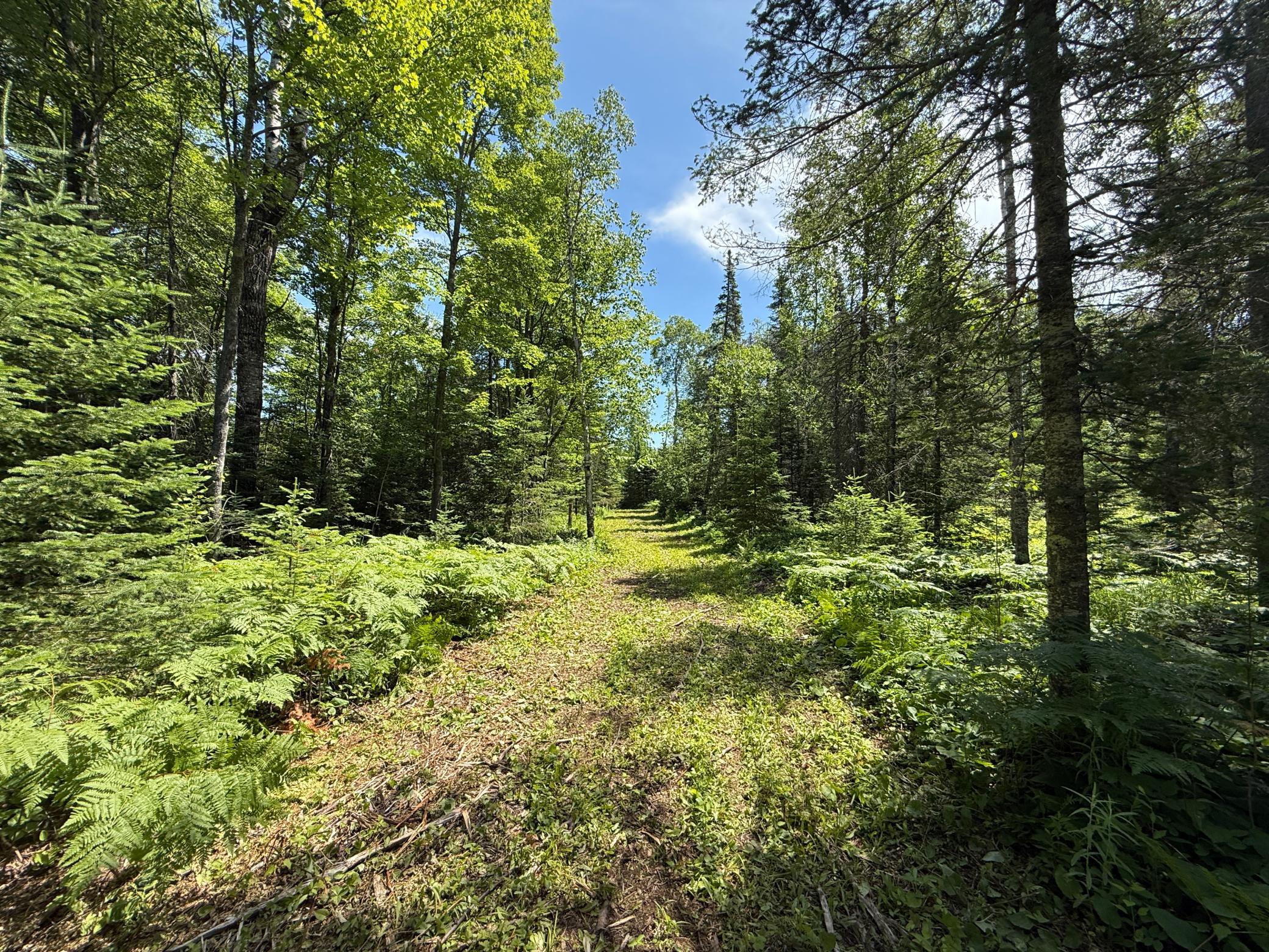 main property photo 13