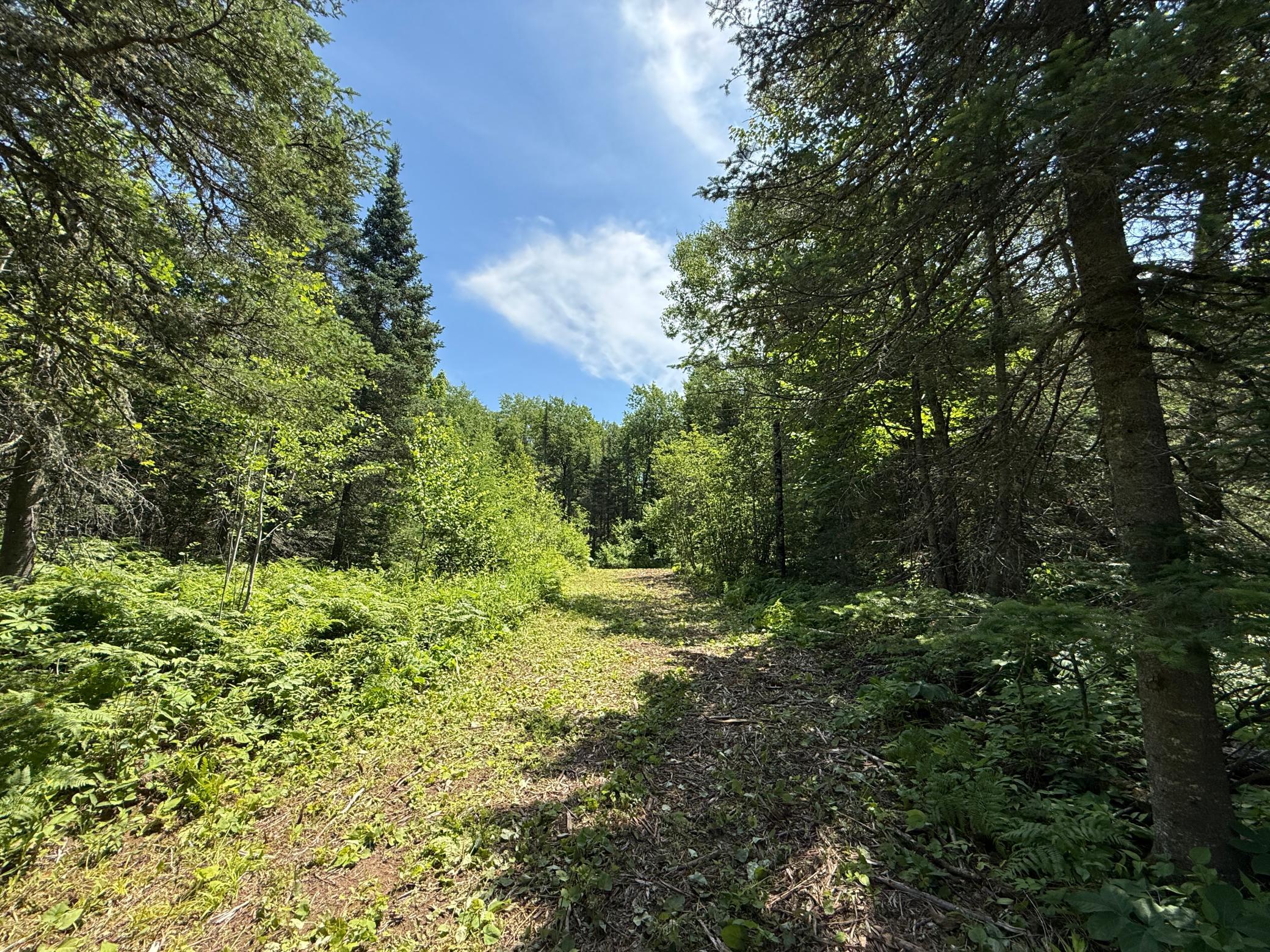 main property photo 20