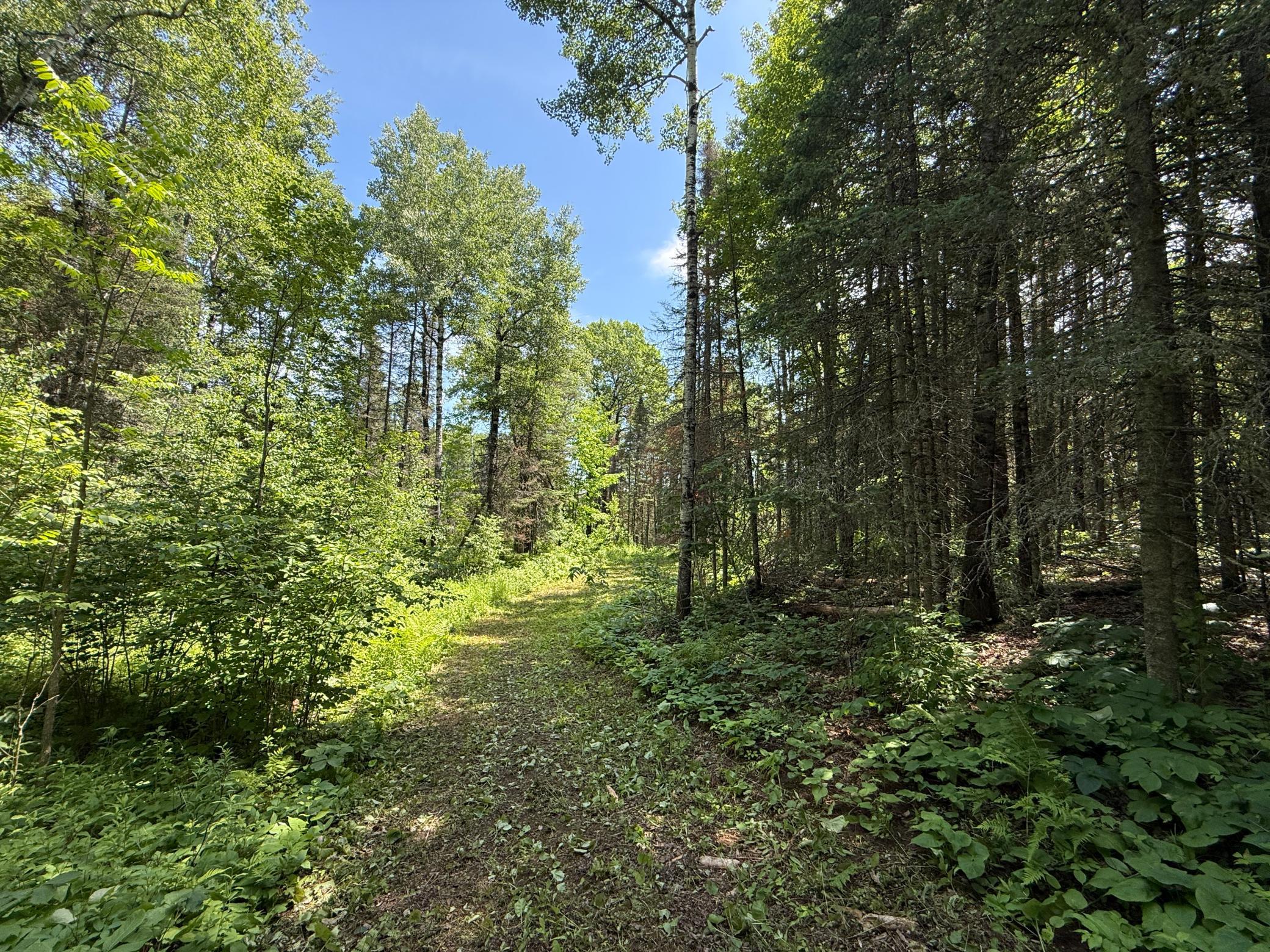 main property photo 24