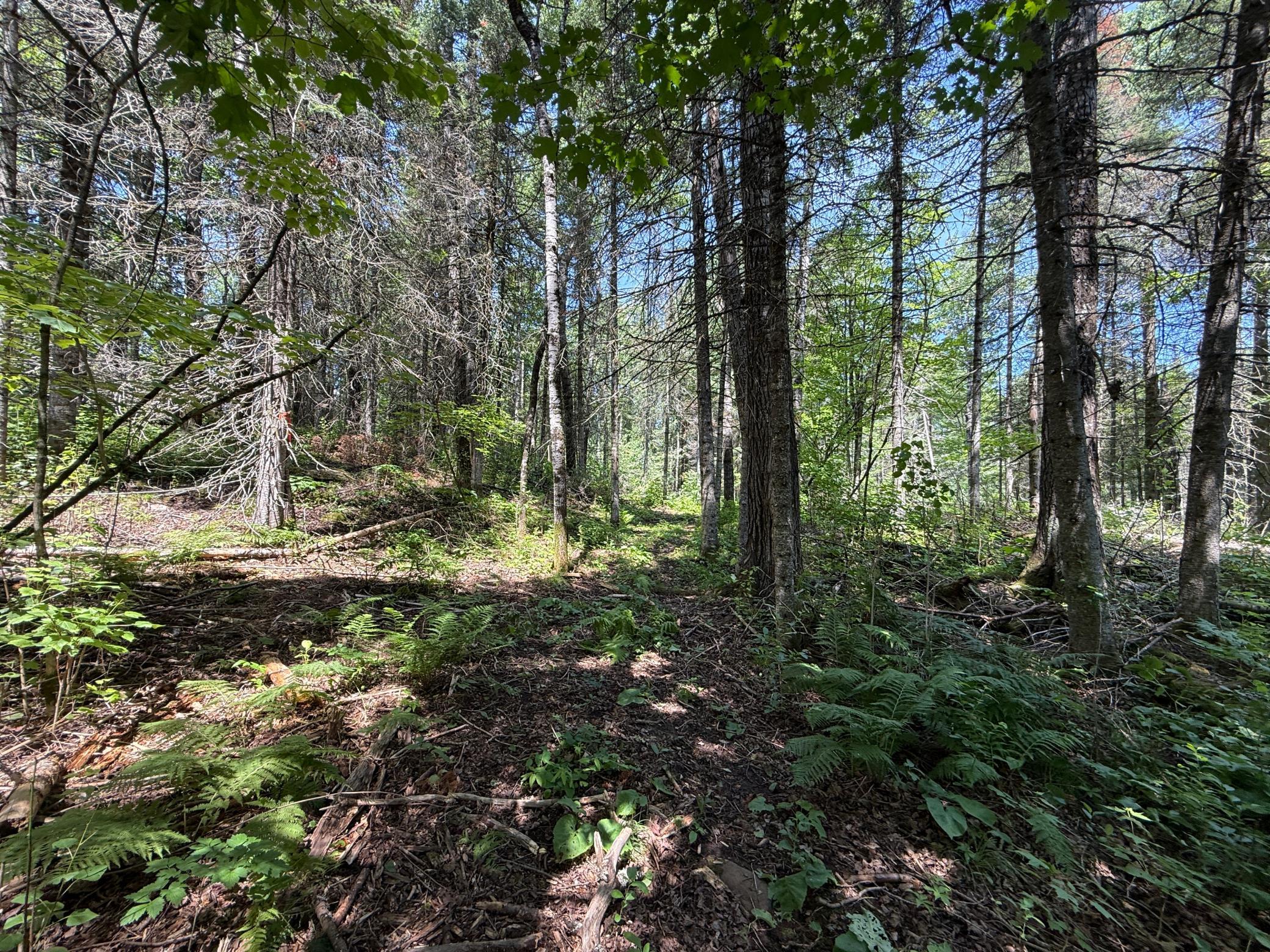 main property photo 28