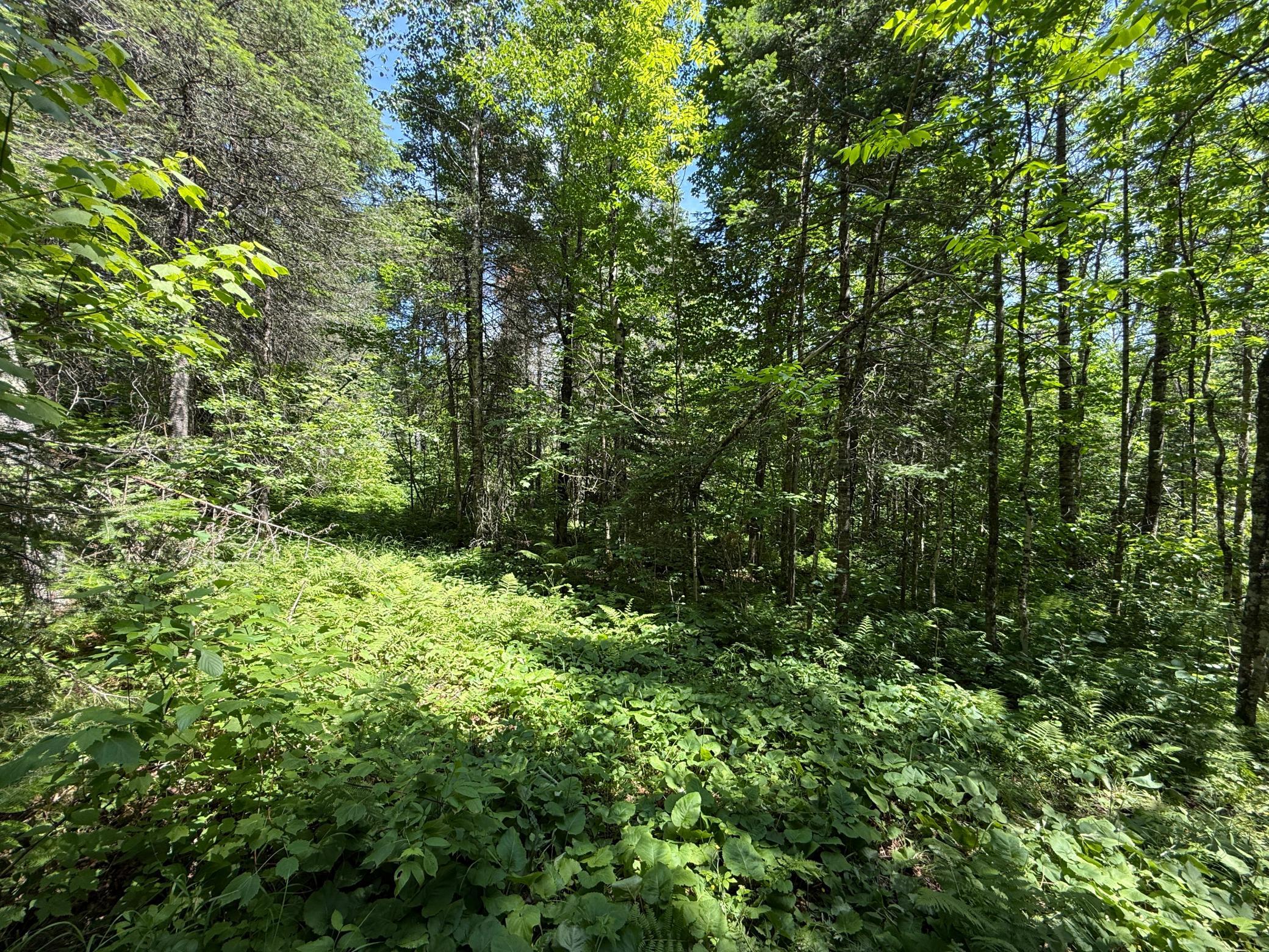 main property photo 29