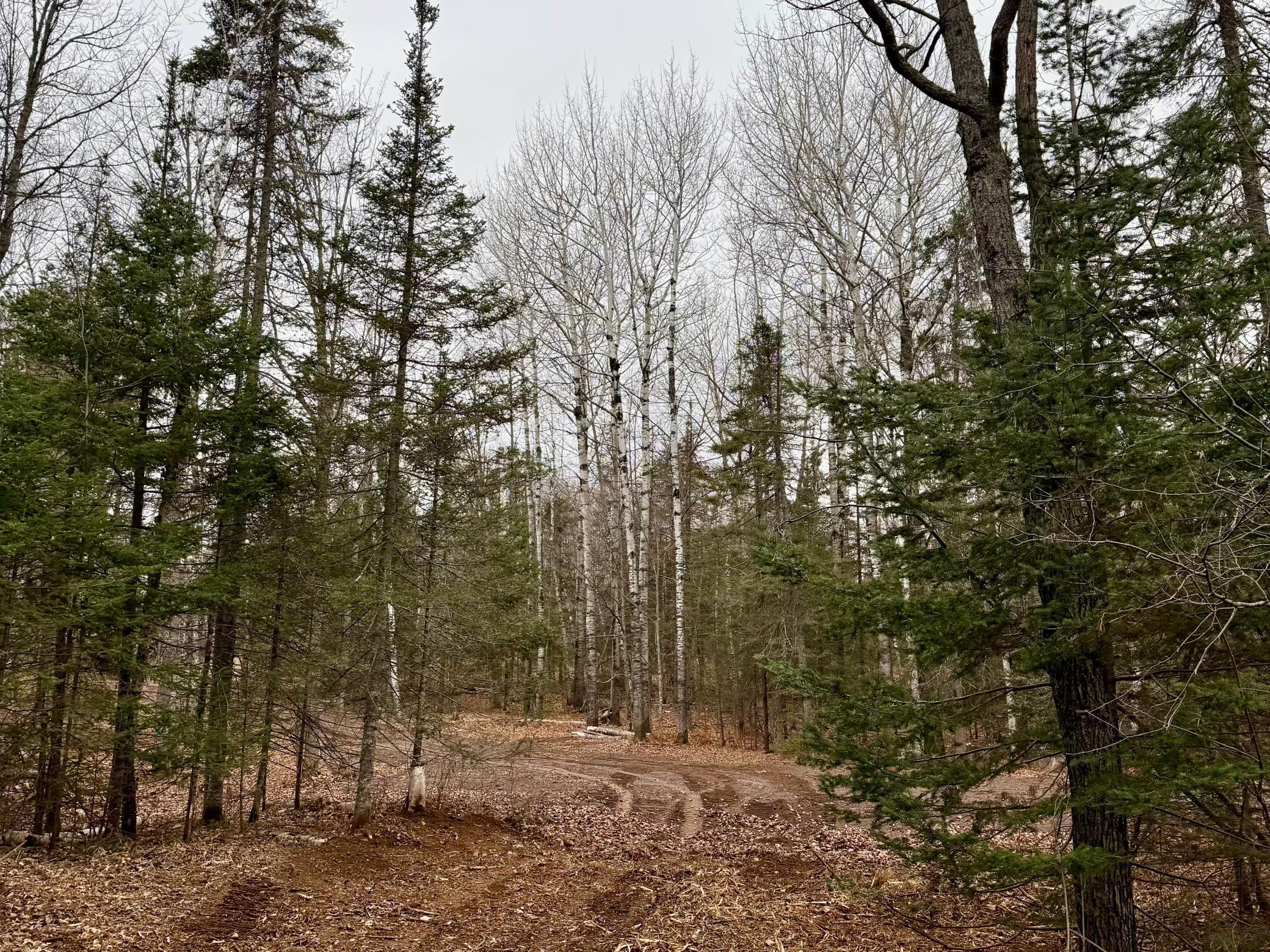 main property photo 38