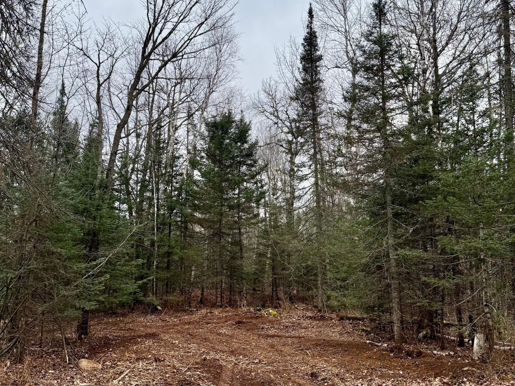 main property photo 40