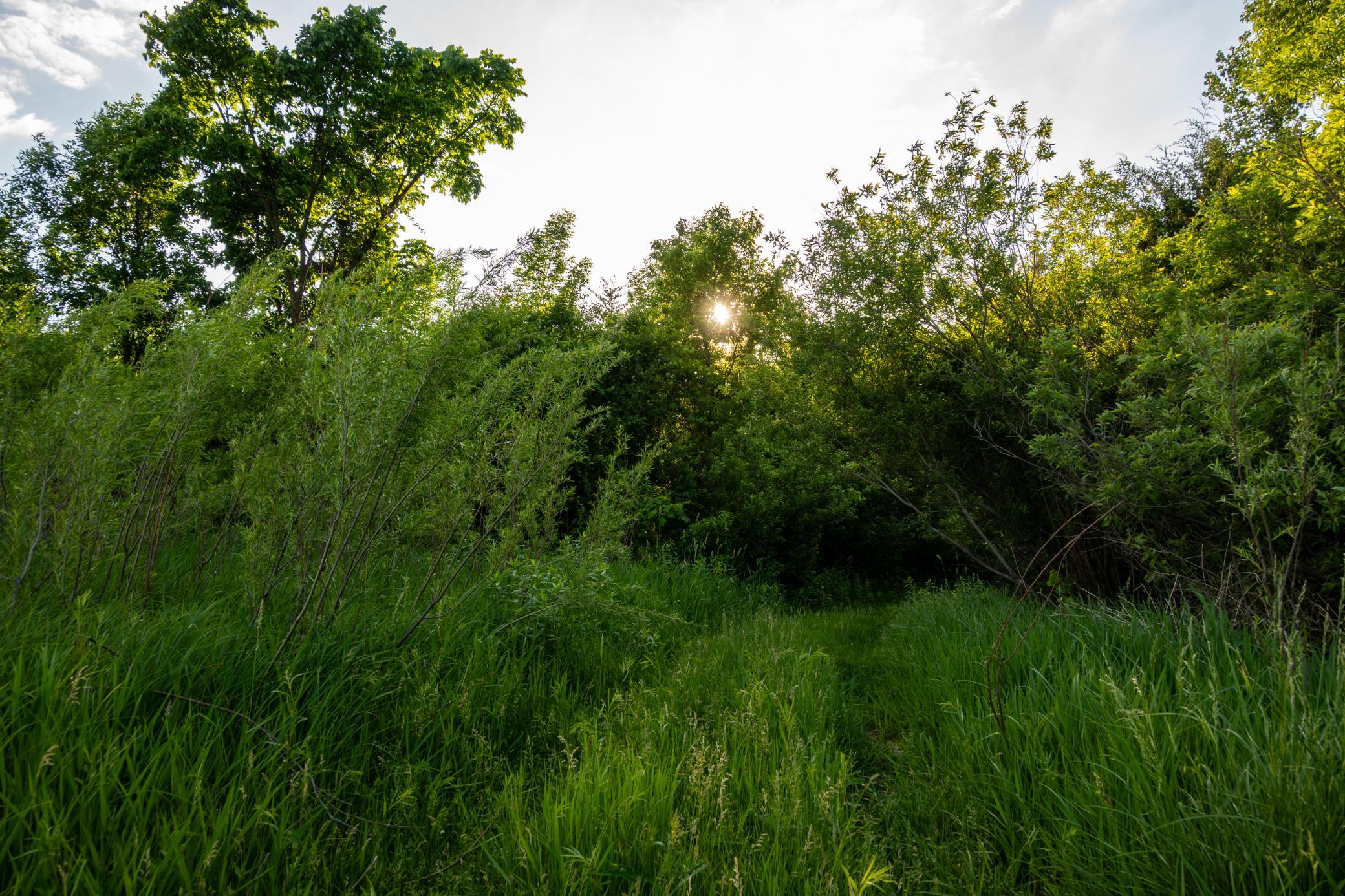 main property photo 25
