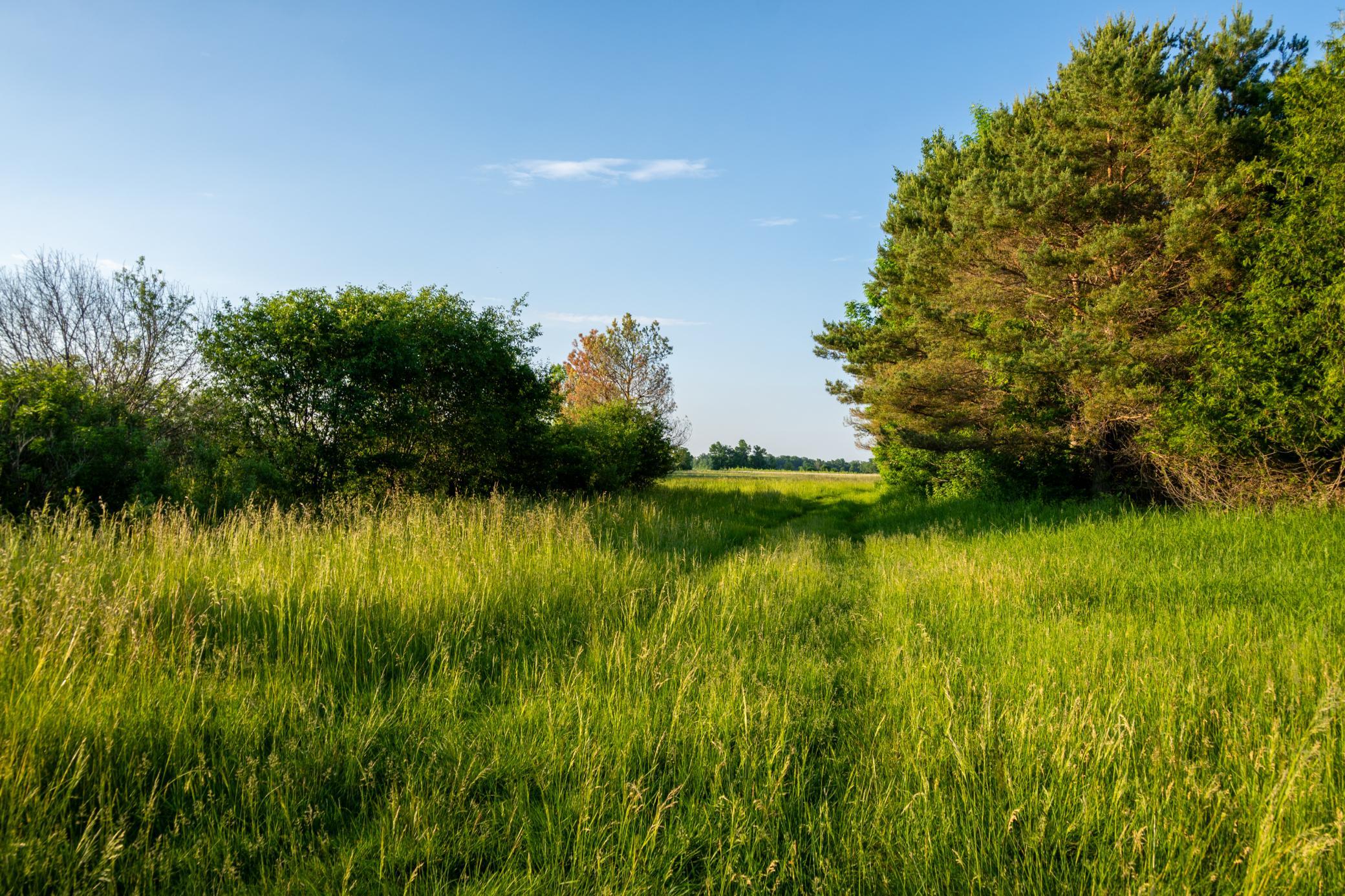 main property photo 46