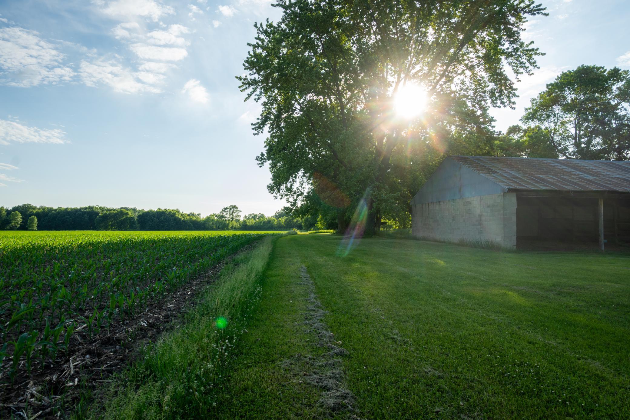 main property photo 51