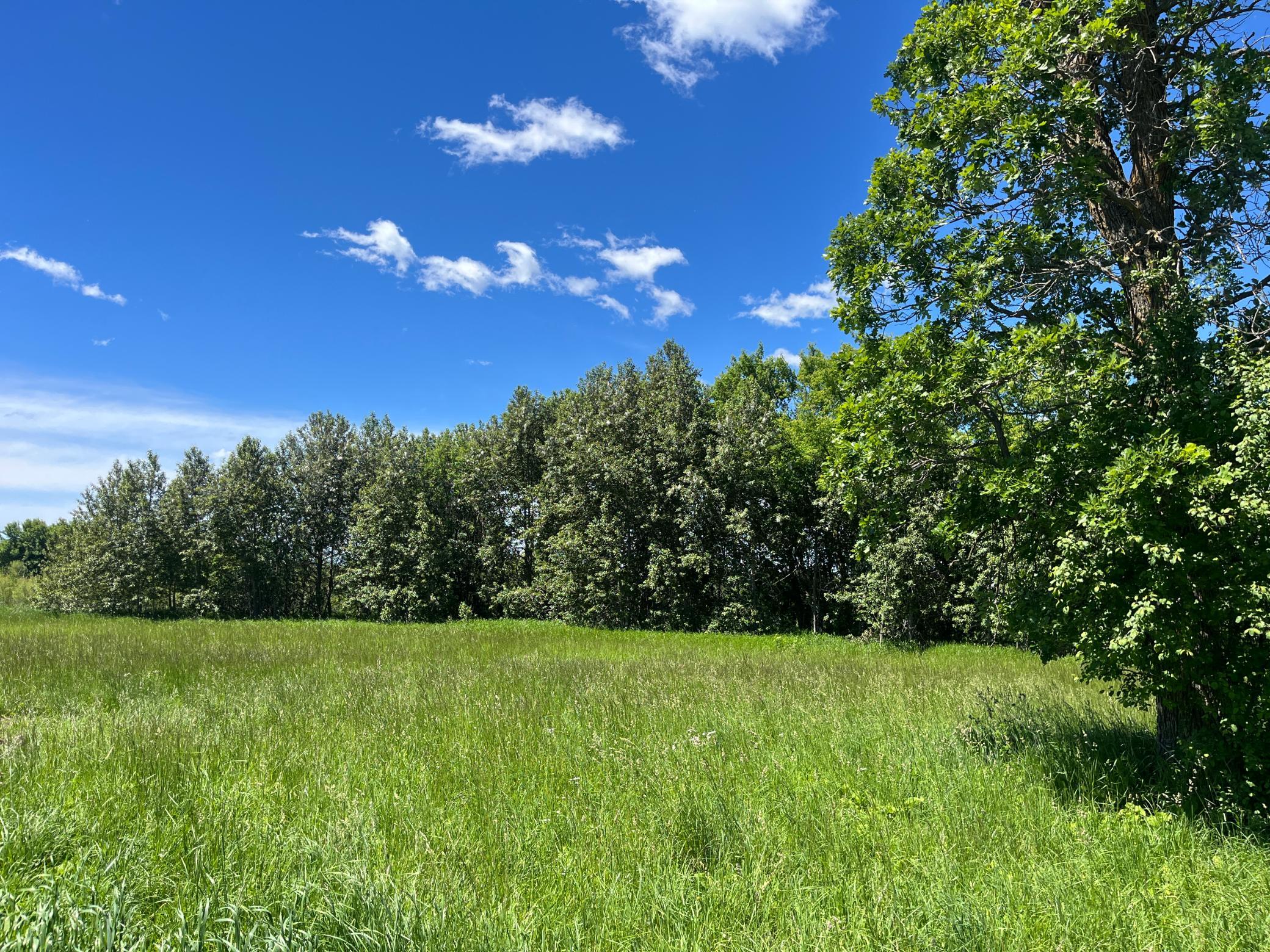 main property photo 51
