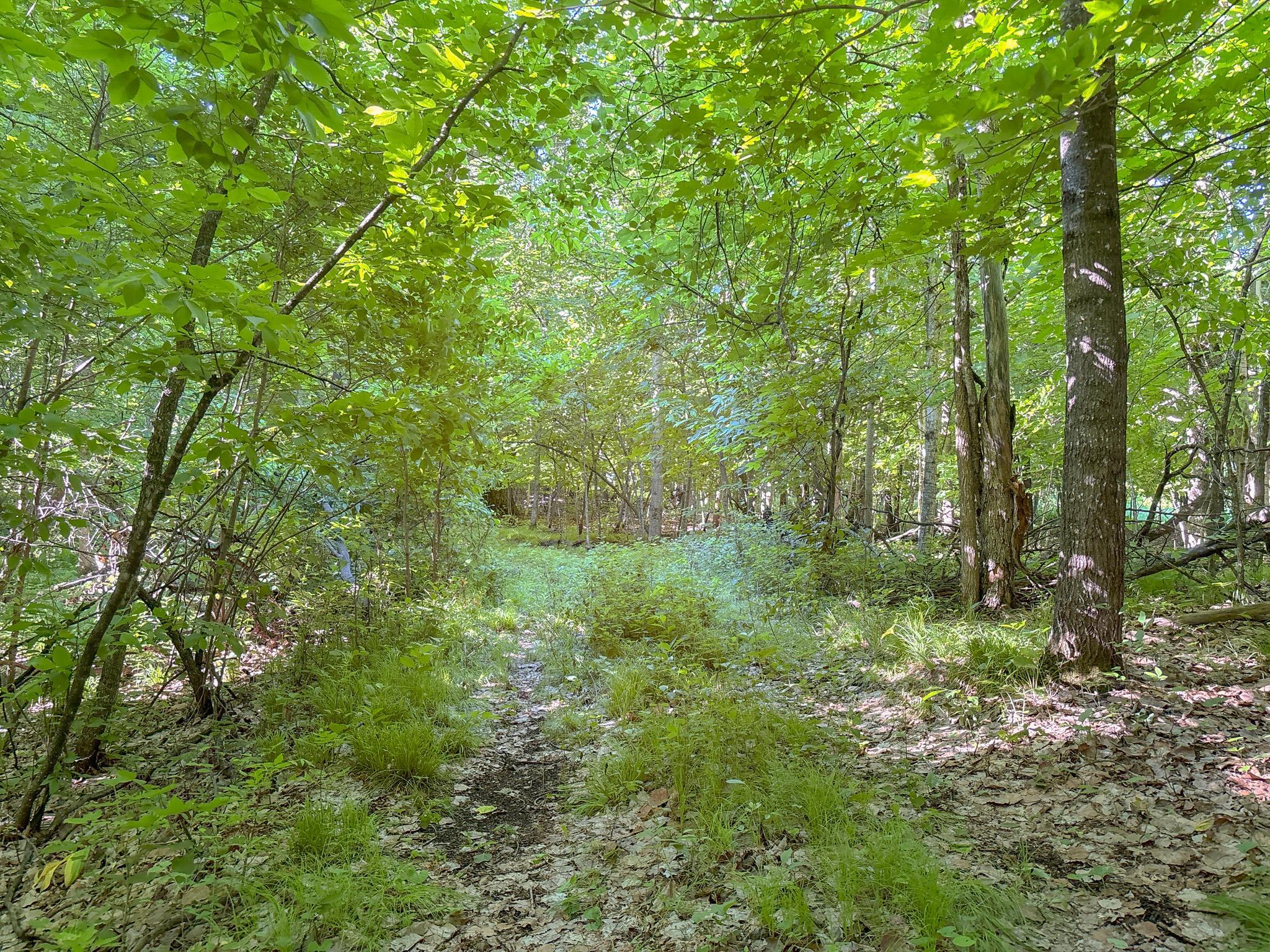 main property photo 12