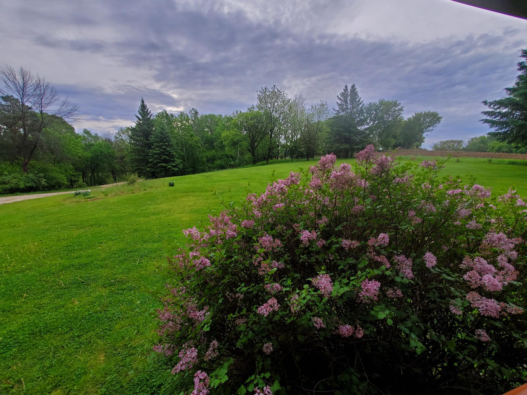 main property photo 42