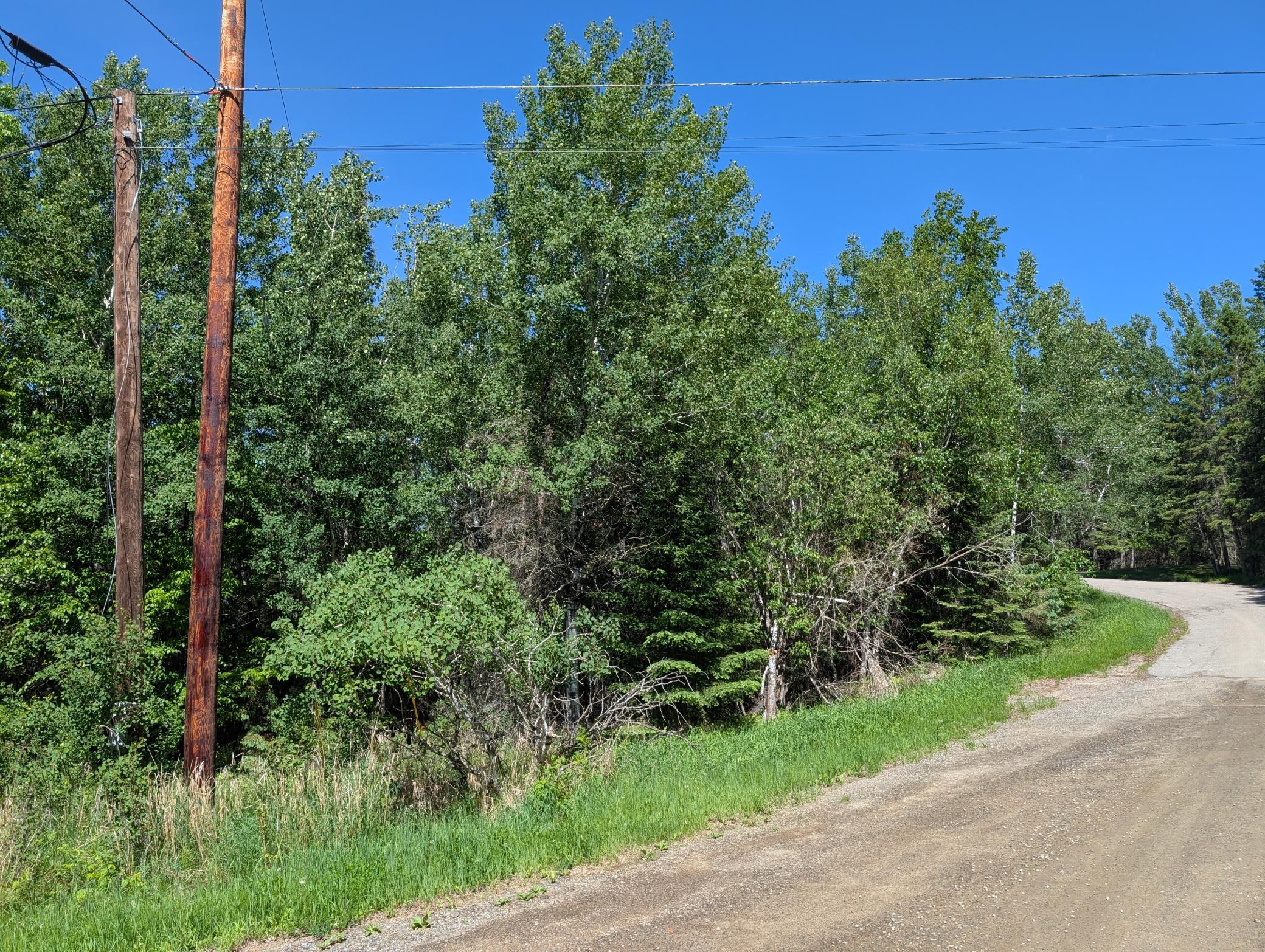 main property photo 18