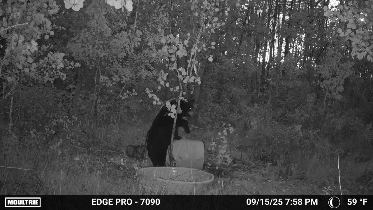 main property photo 19