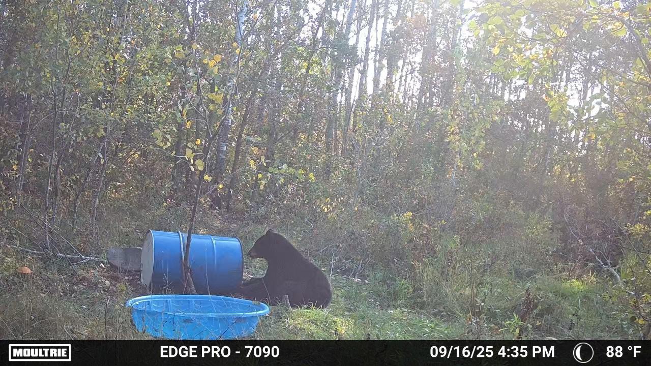 main property photo 21