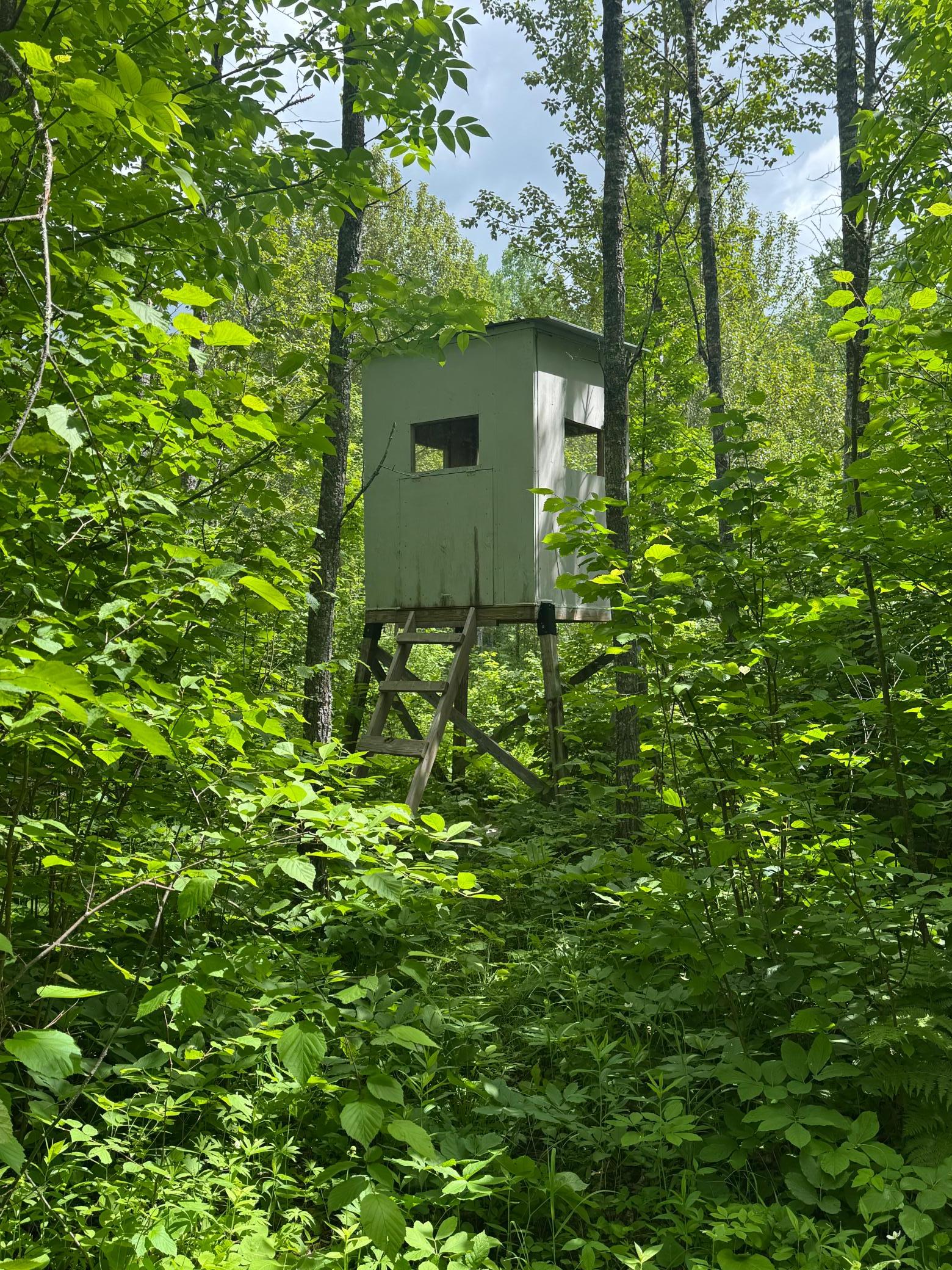 main property photo 42