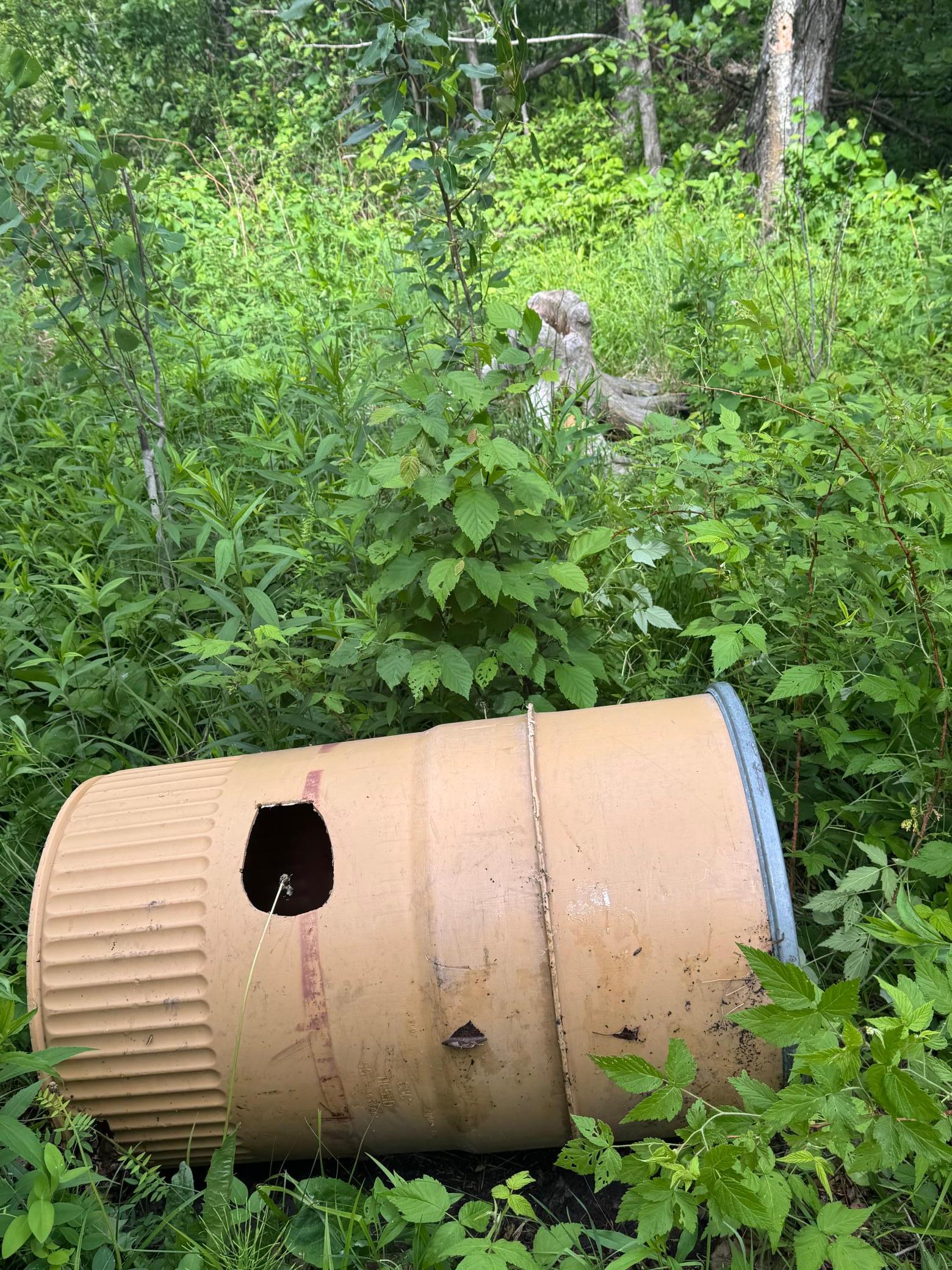 main property photo 43