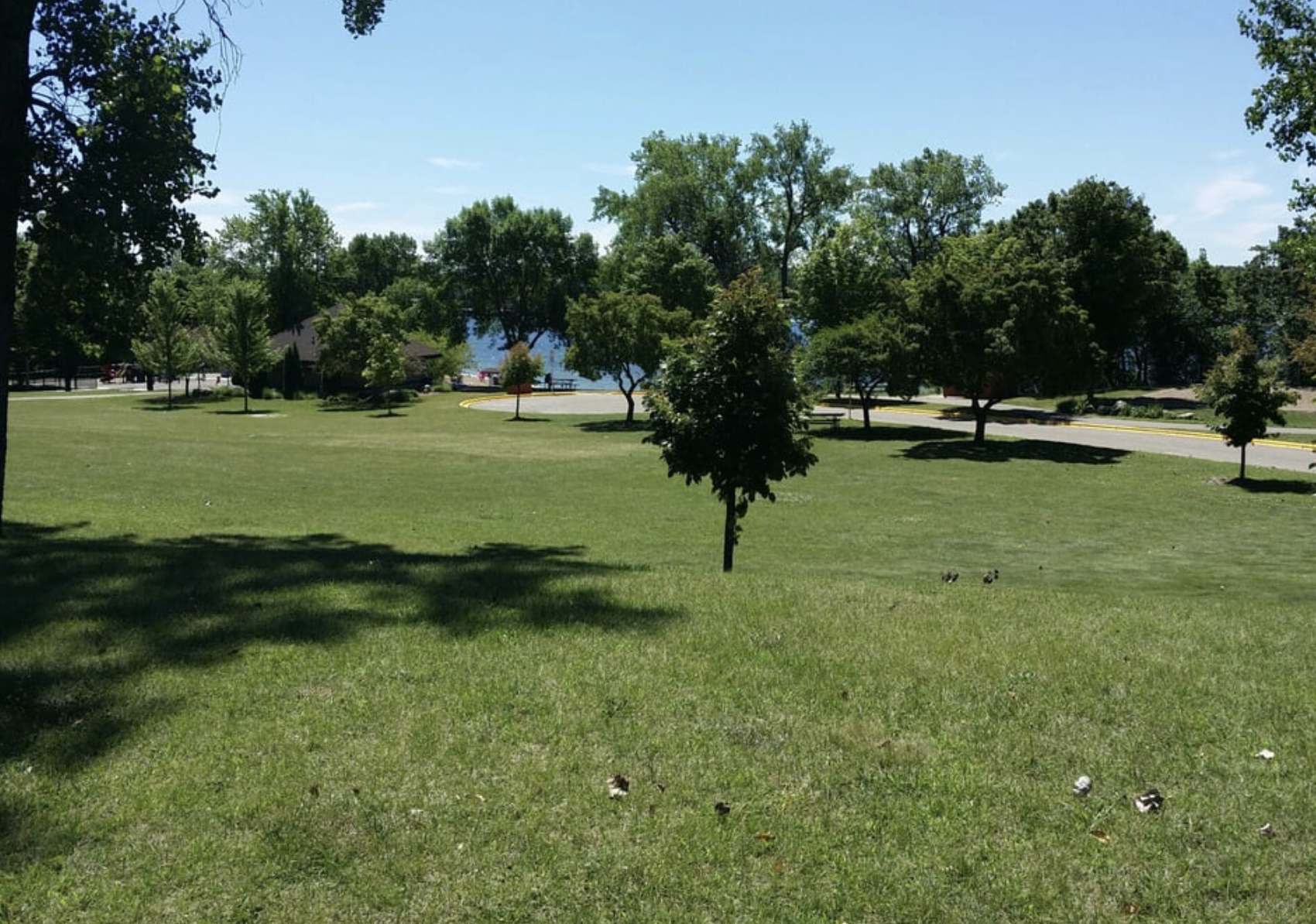 main property photo 45
