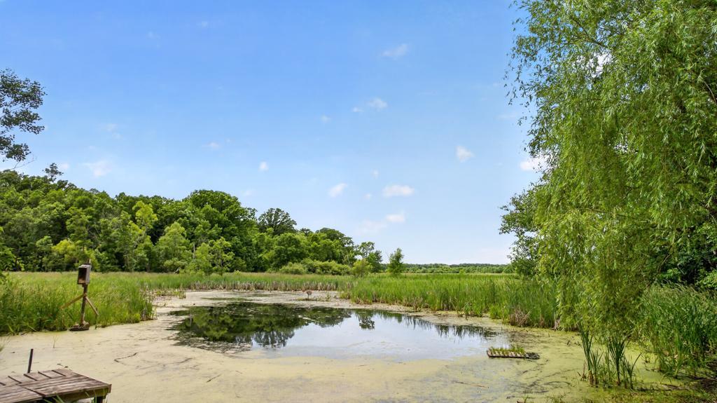 main property photo 96