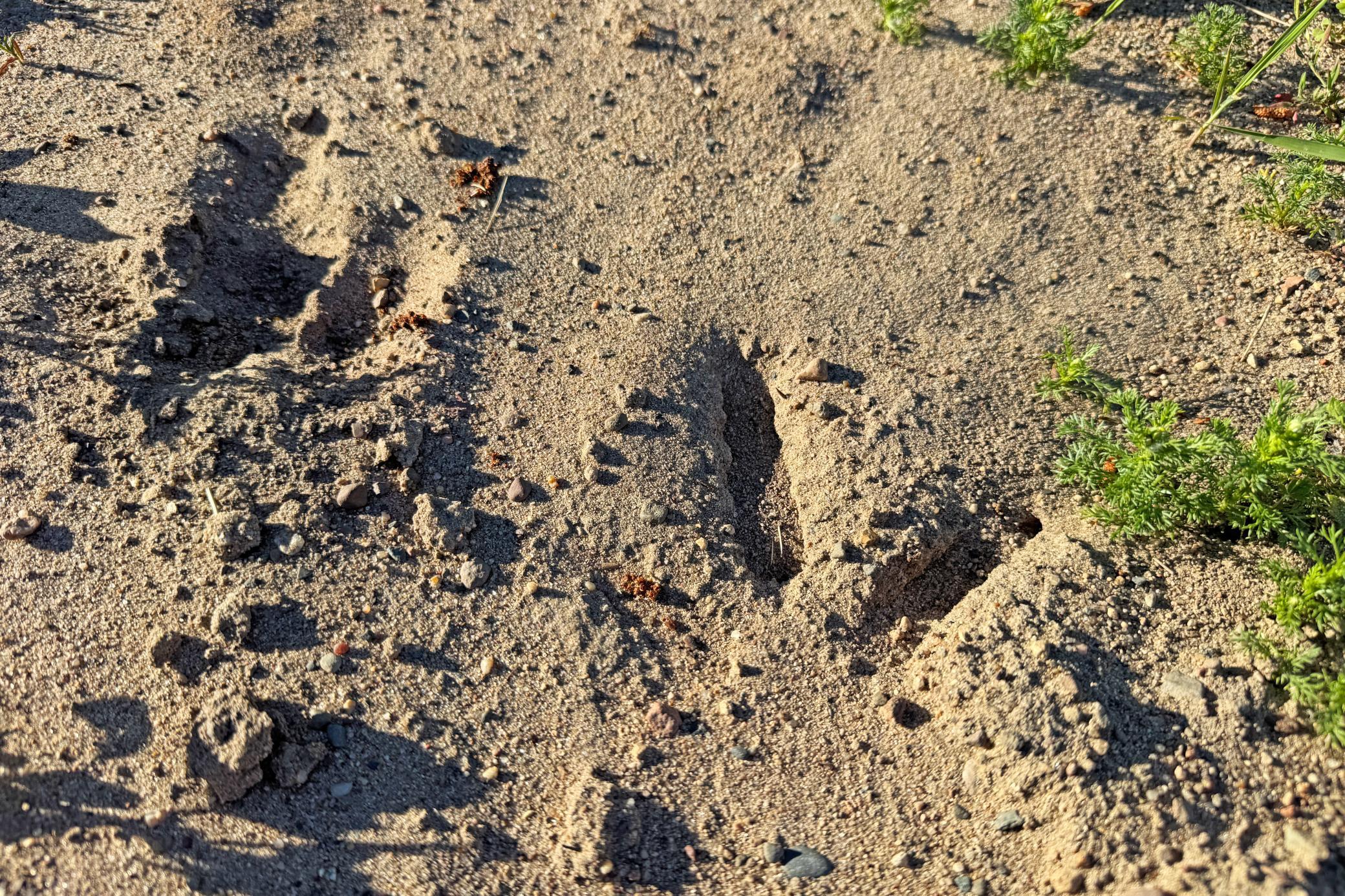 main property photo 16