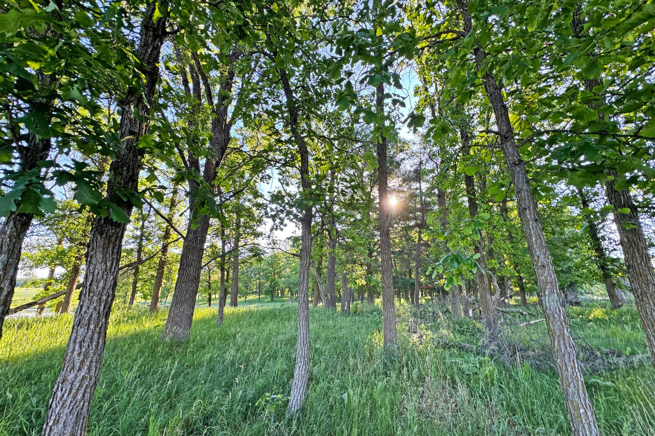 main property photo 32