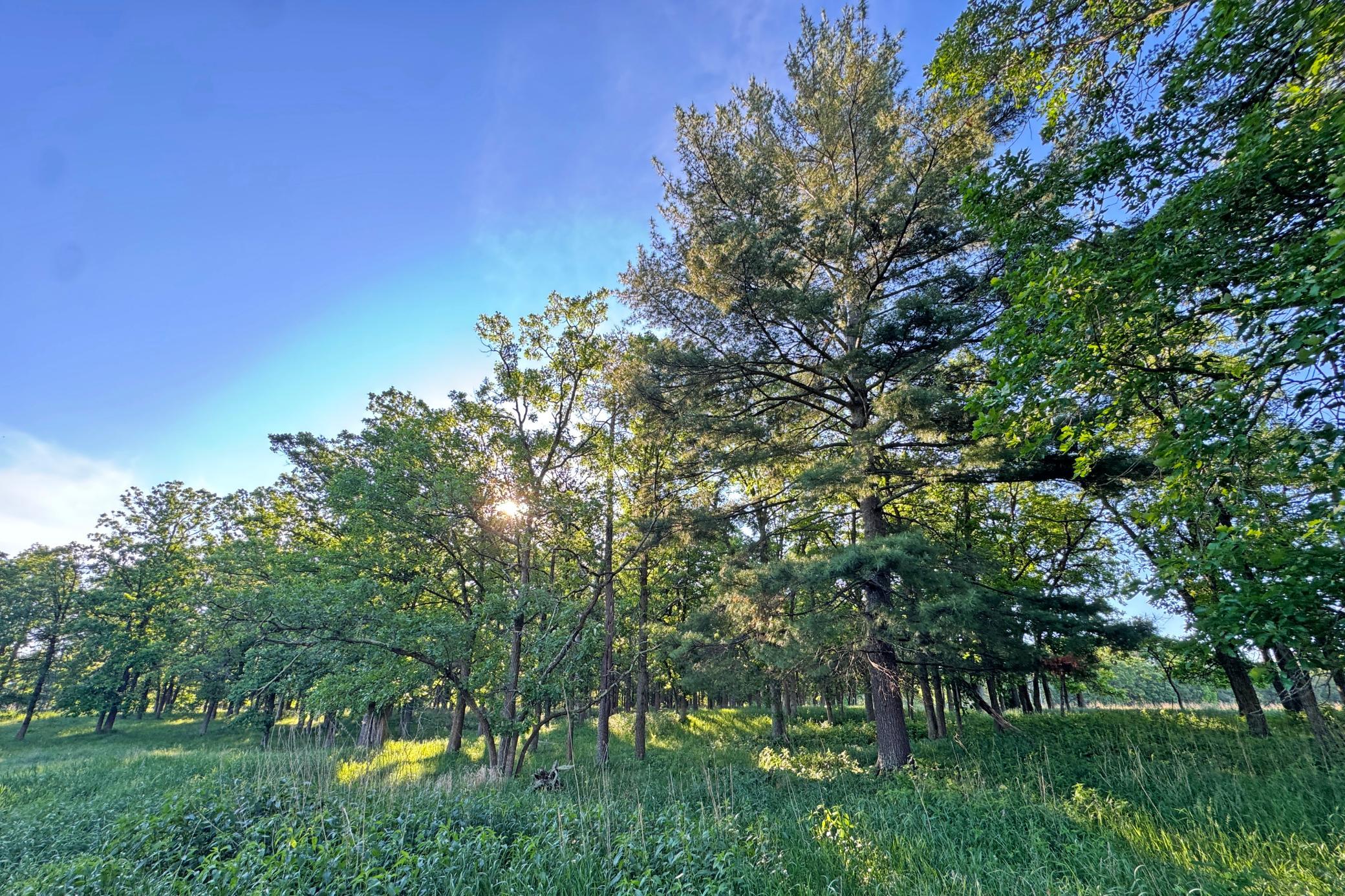 main property photo 34