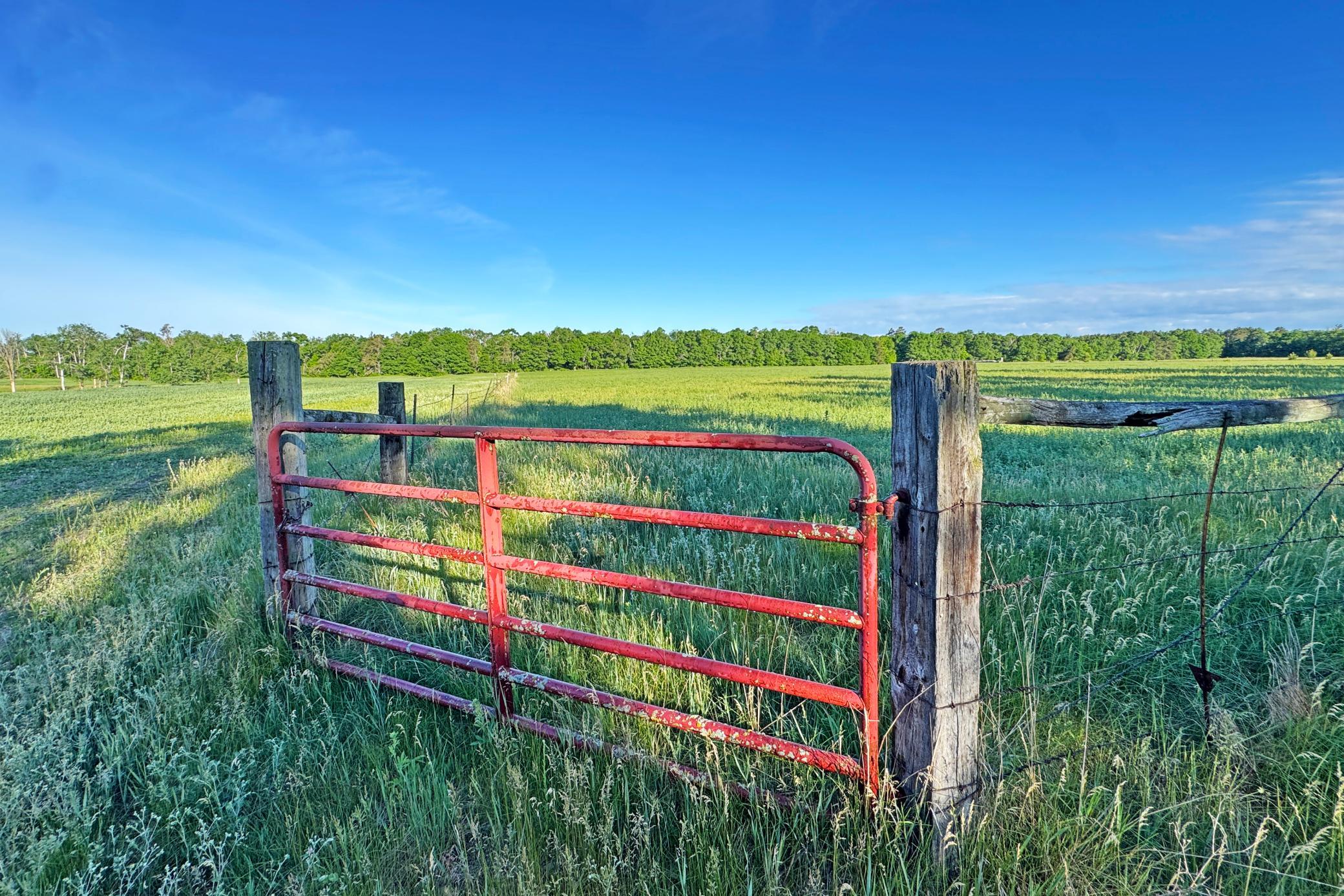 main property photo 40