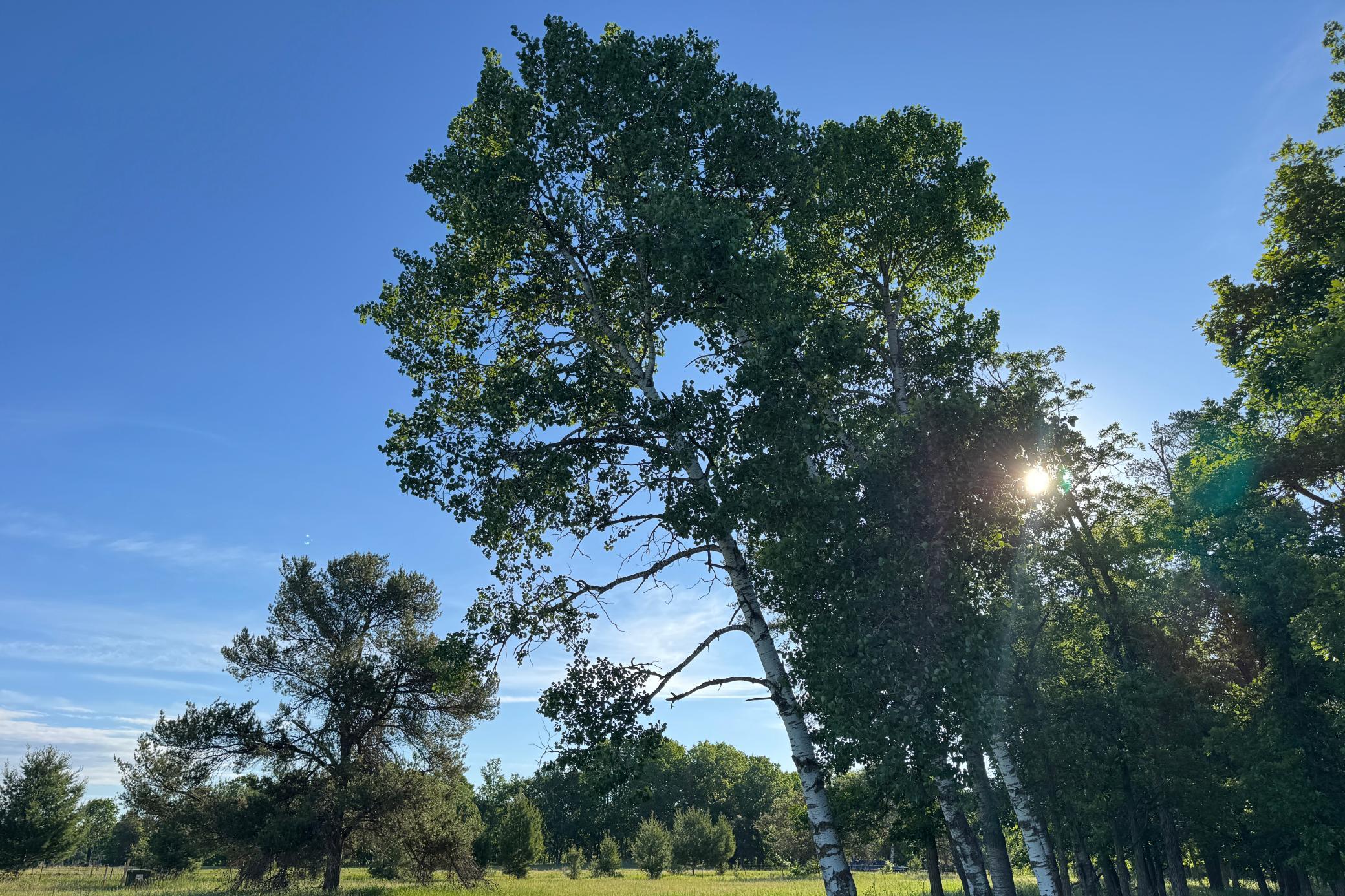 main property photo 42