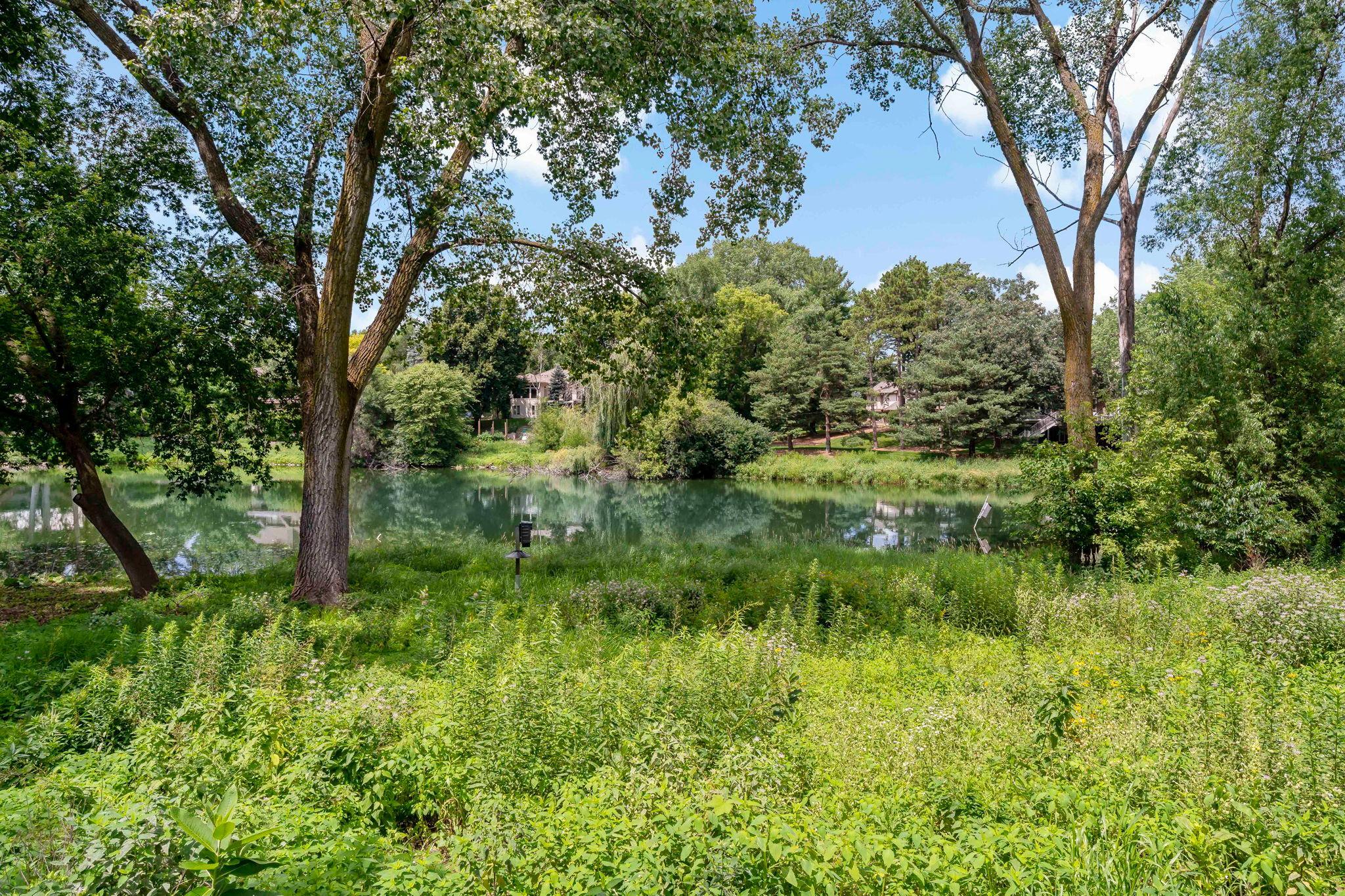 main property photo 61
