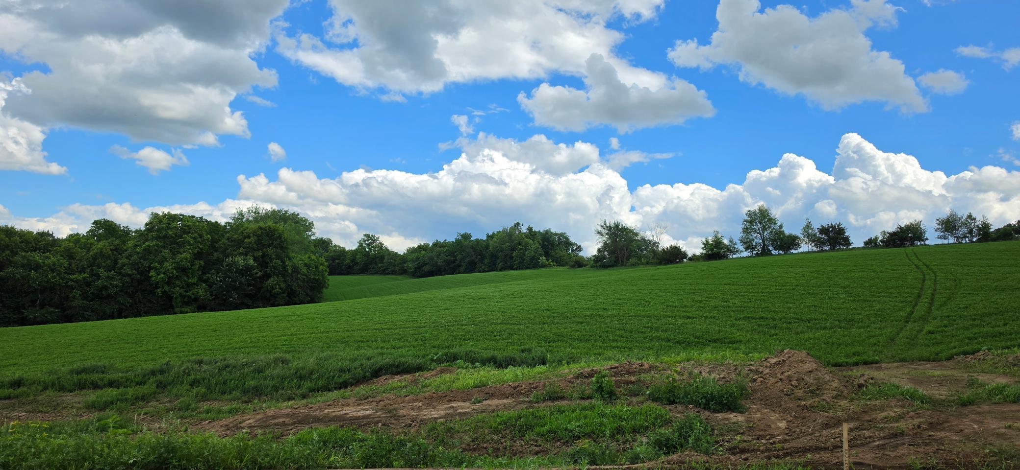main property photo 8