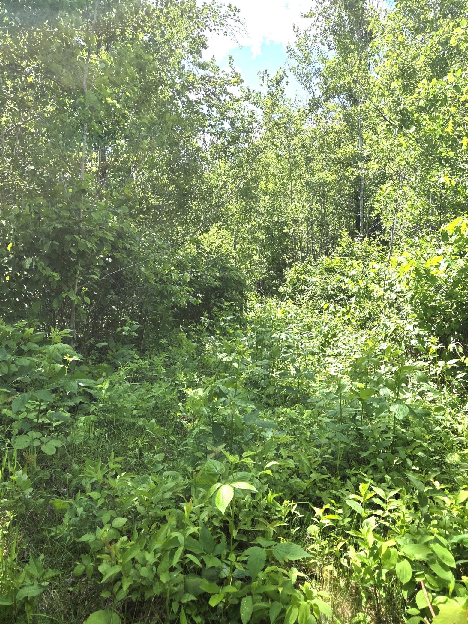 main property photo 15