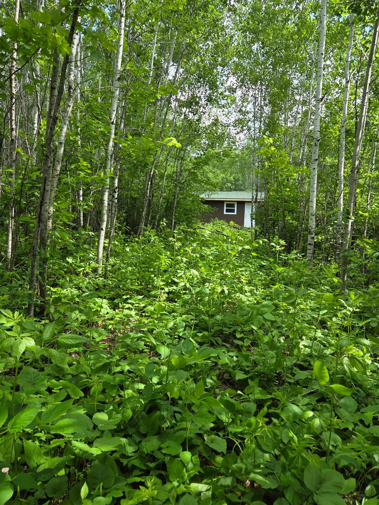 main property photo 7