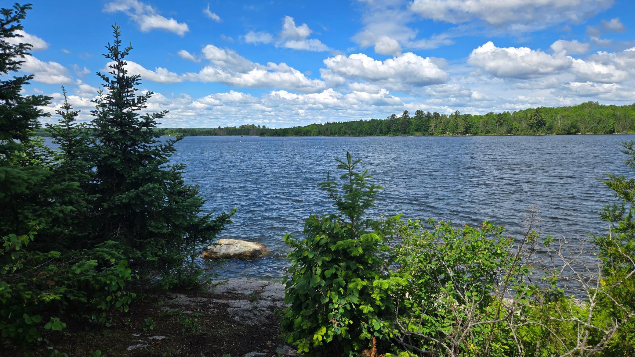 main property photo 45