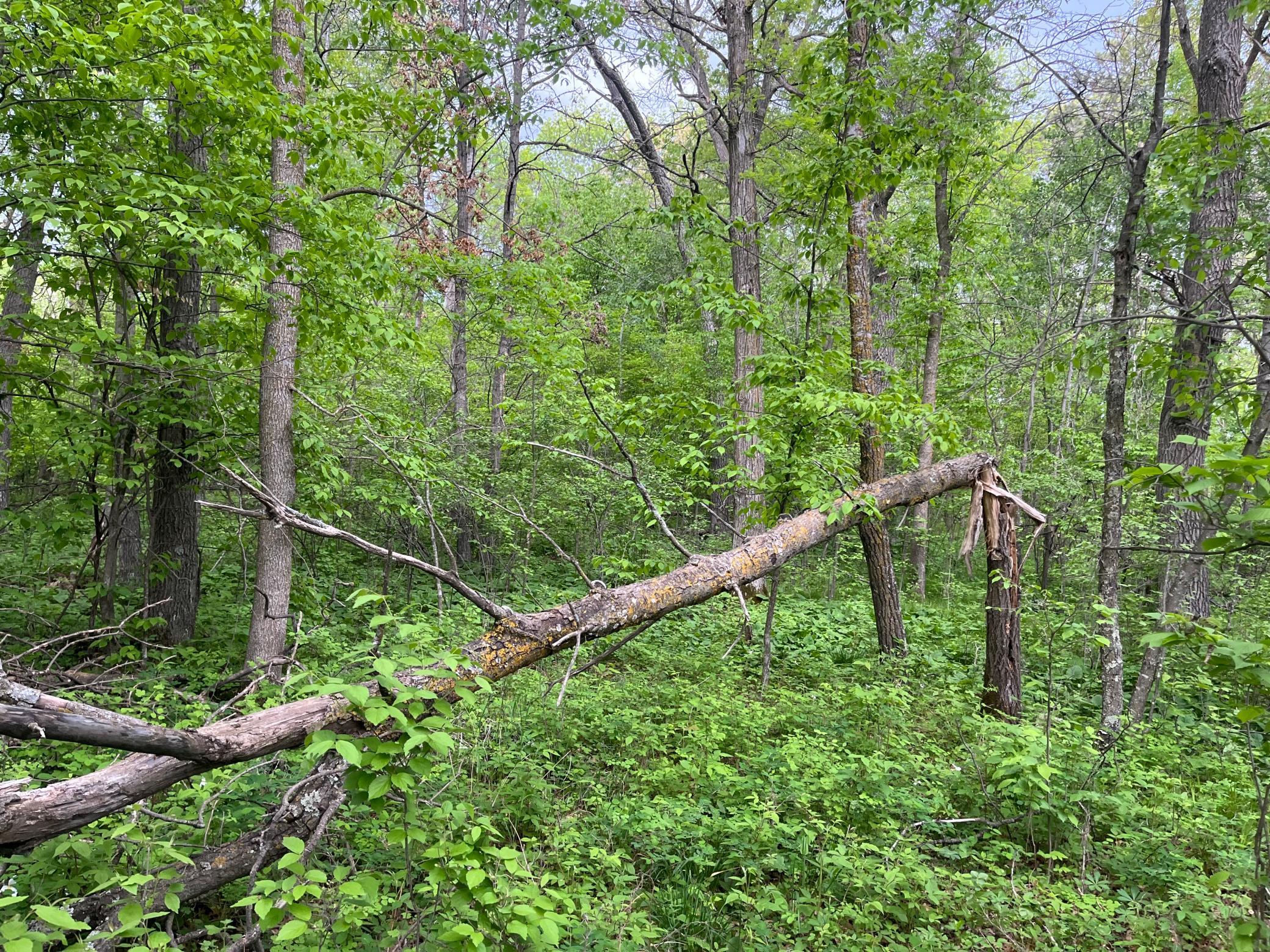main property photo 27