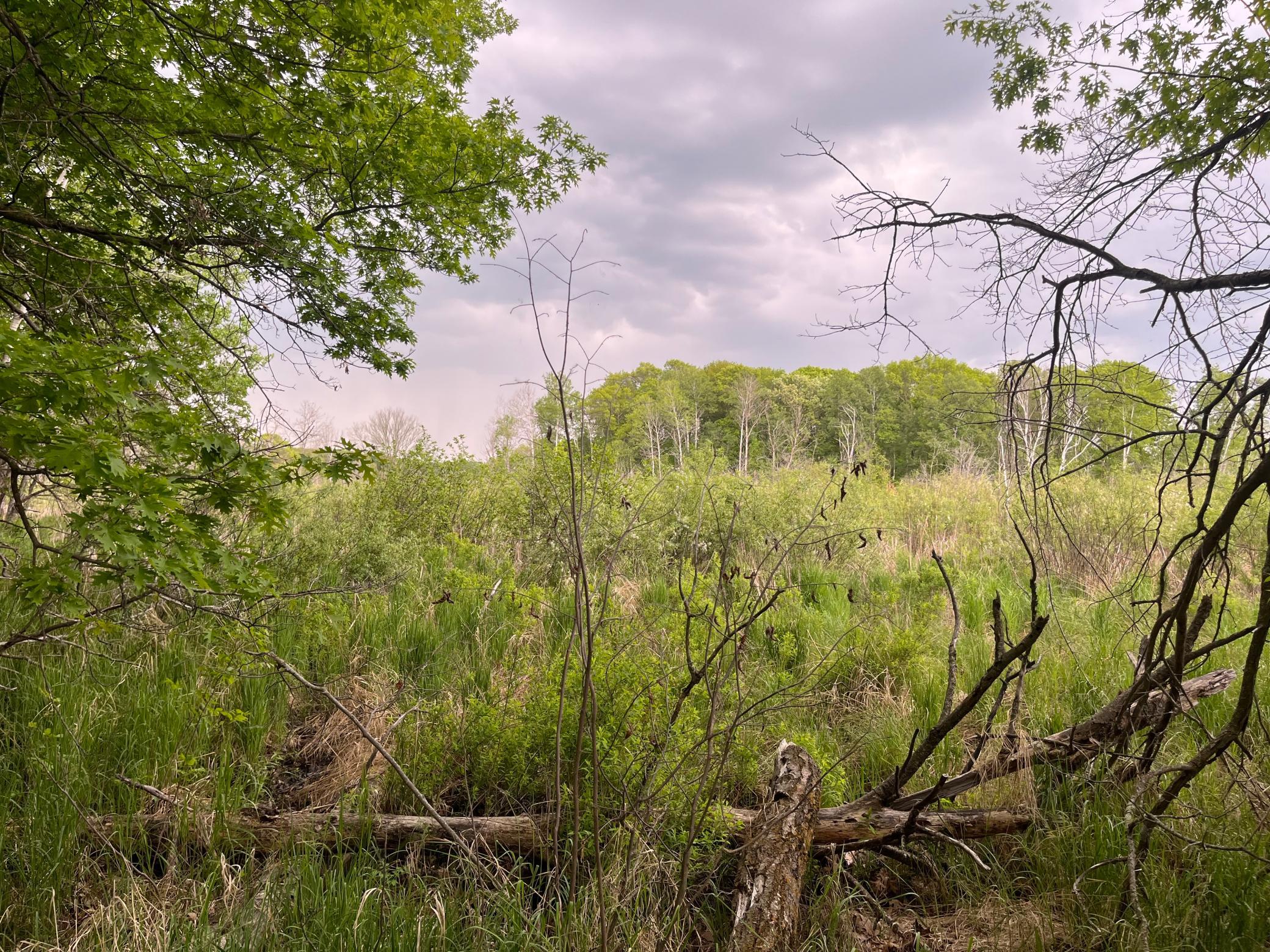 main property photo 32