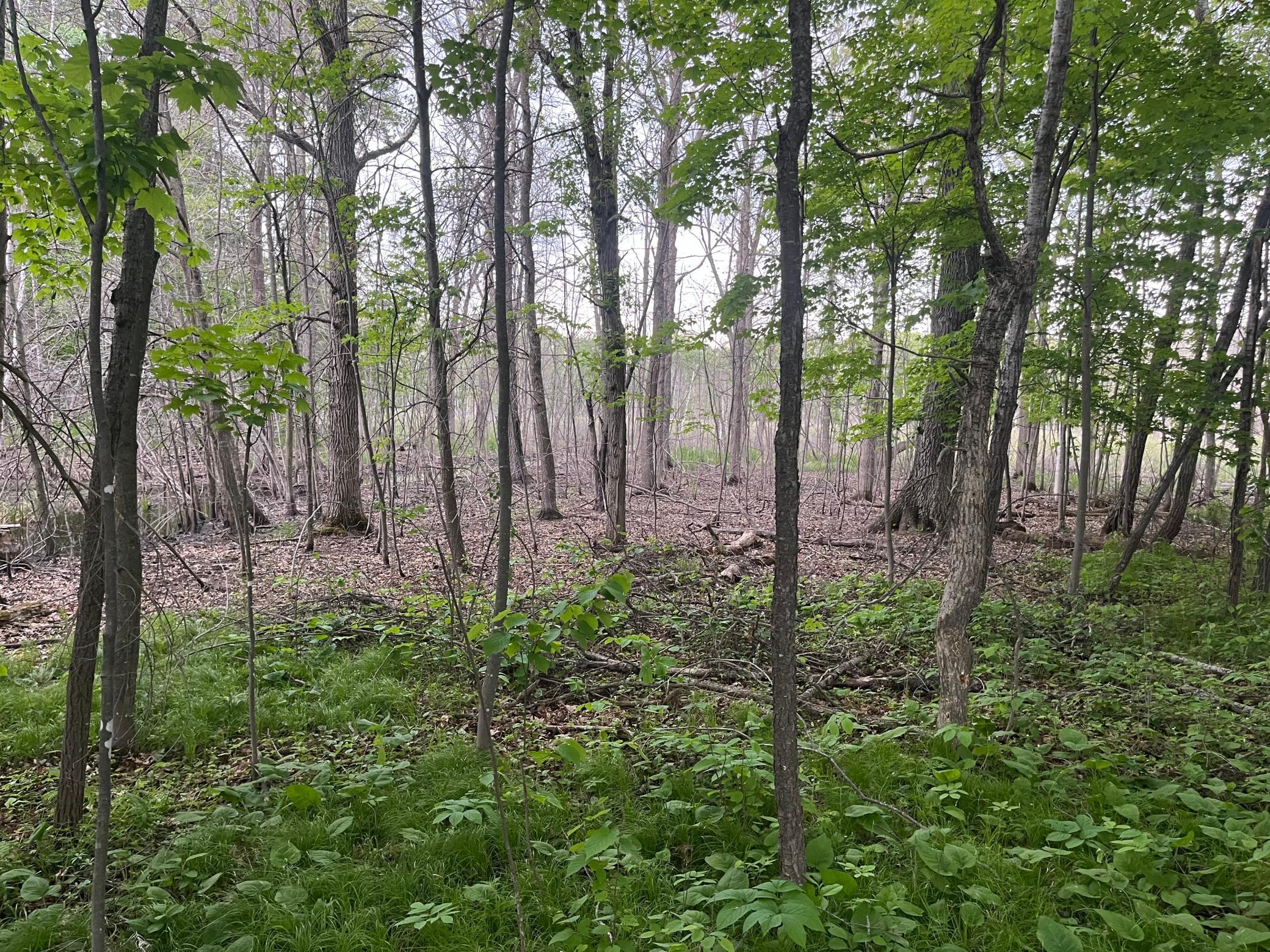 main property photo 48