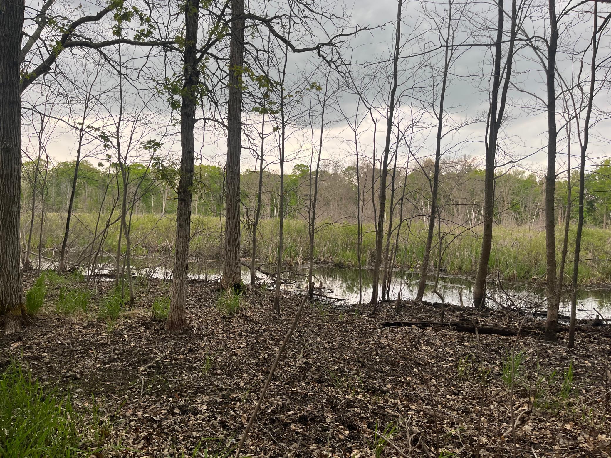 main property photo 50