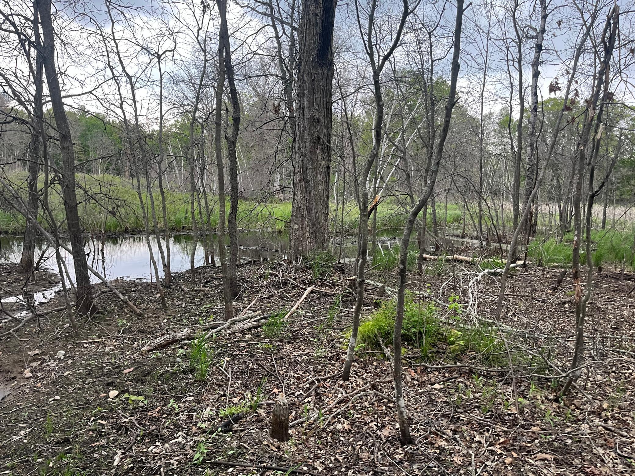 main property photo 56