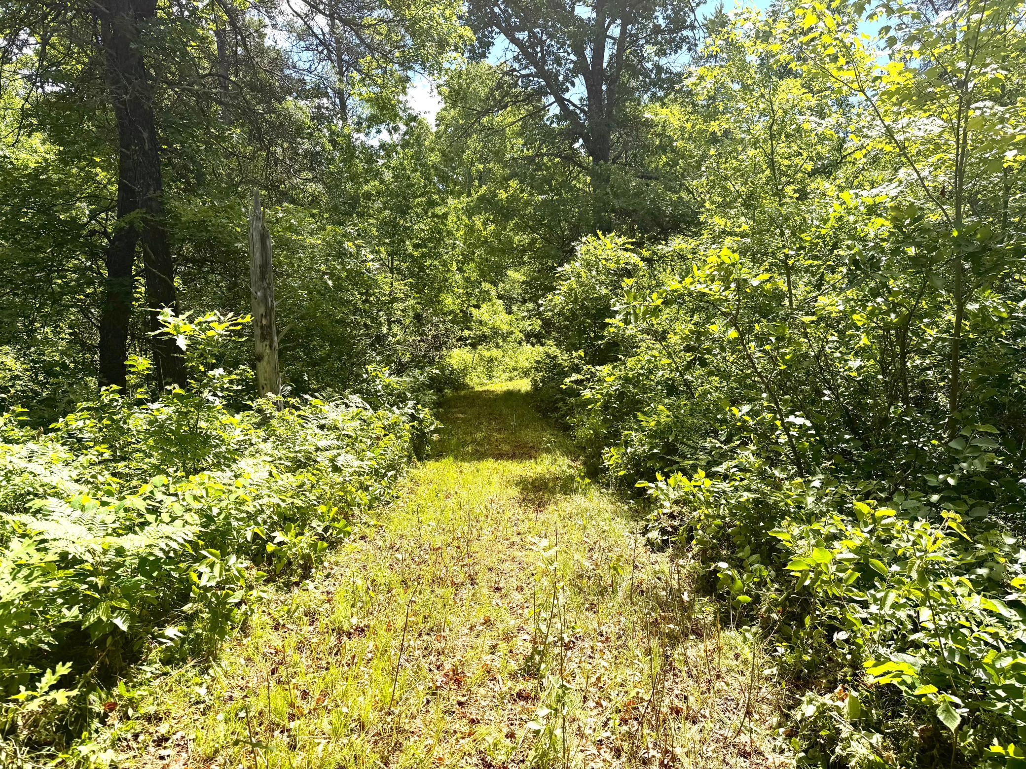 main property photo 17