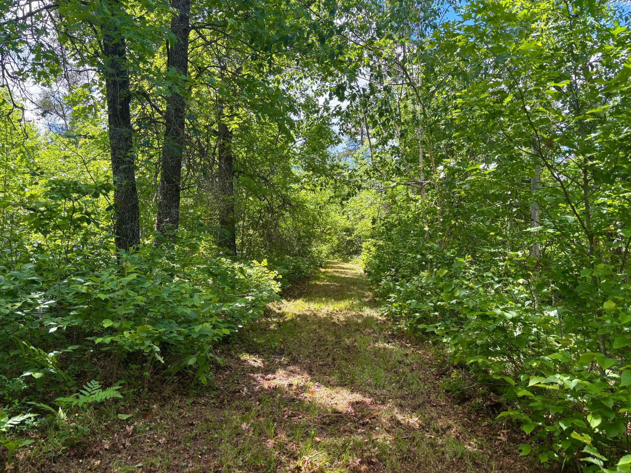 main property photo 20