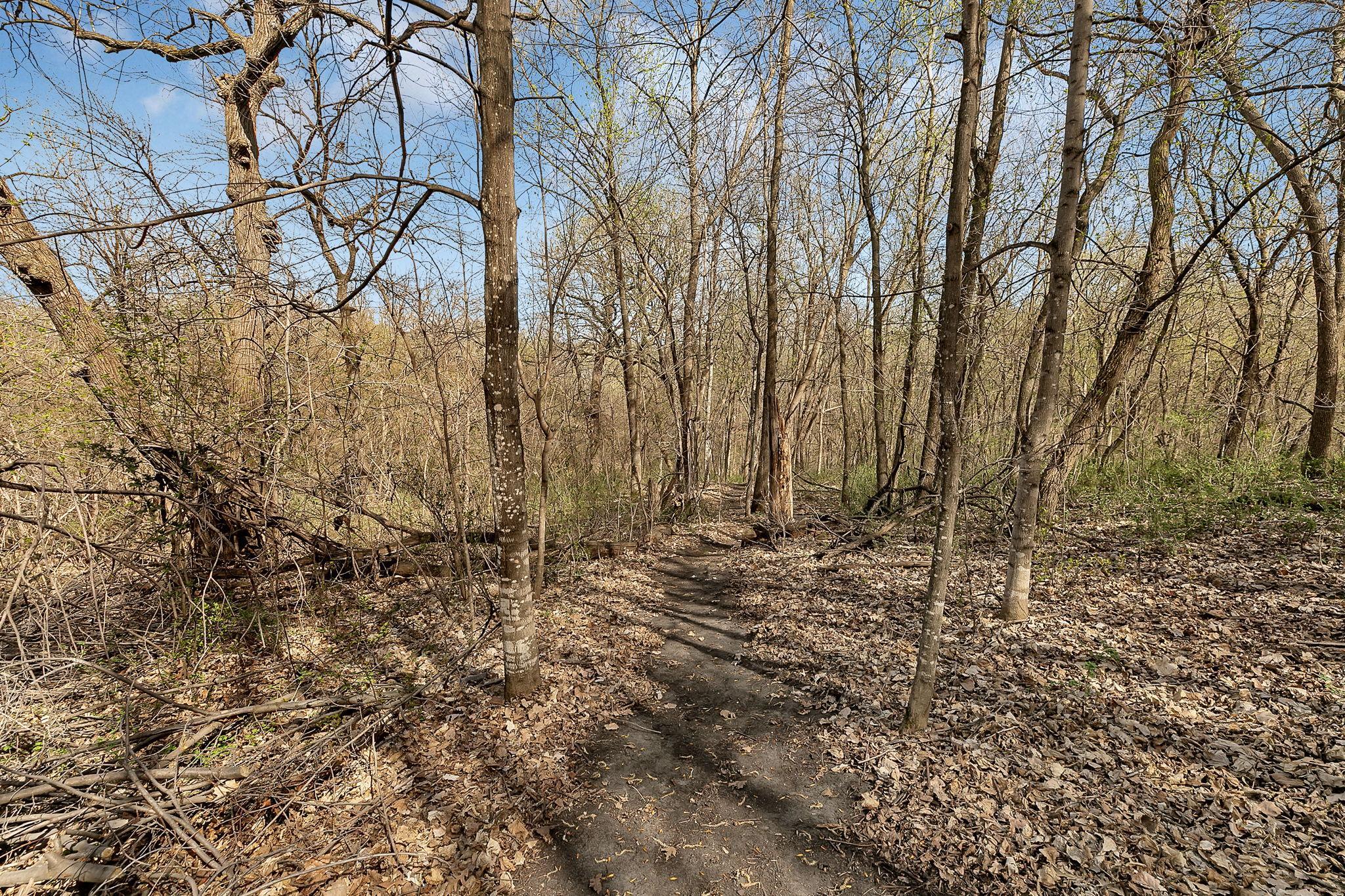main property photo 50