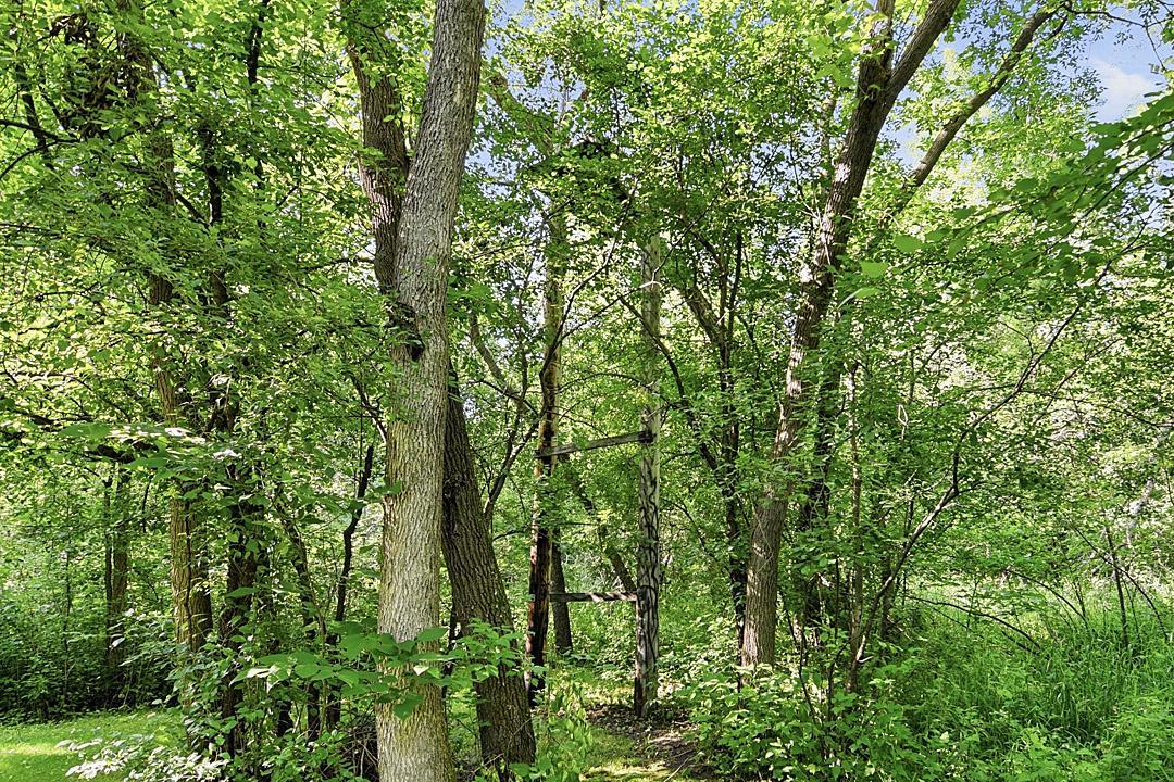 main property photo 61