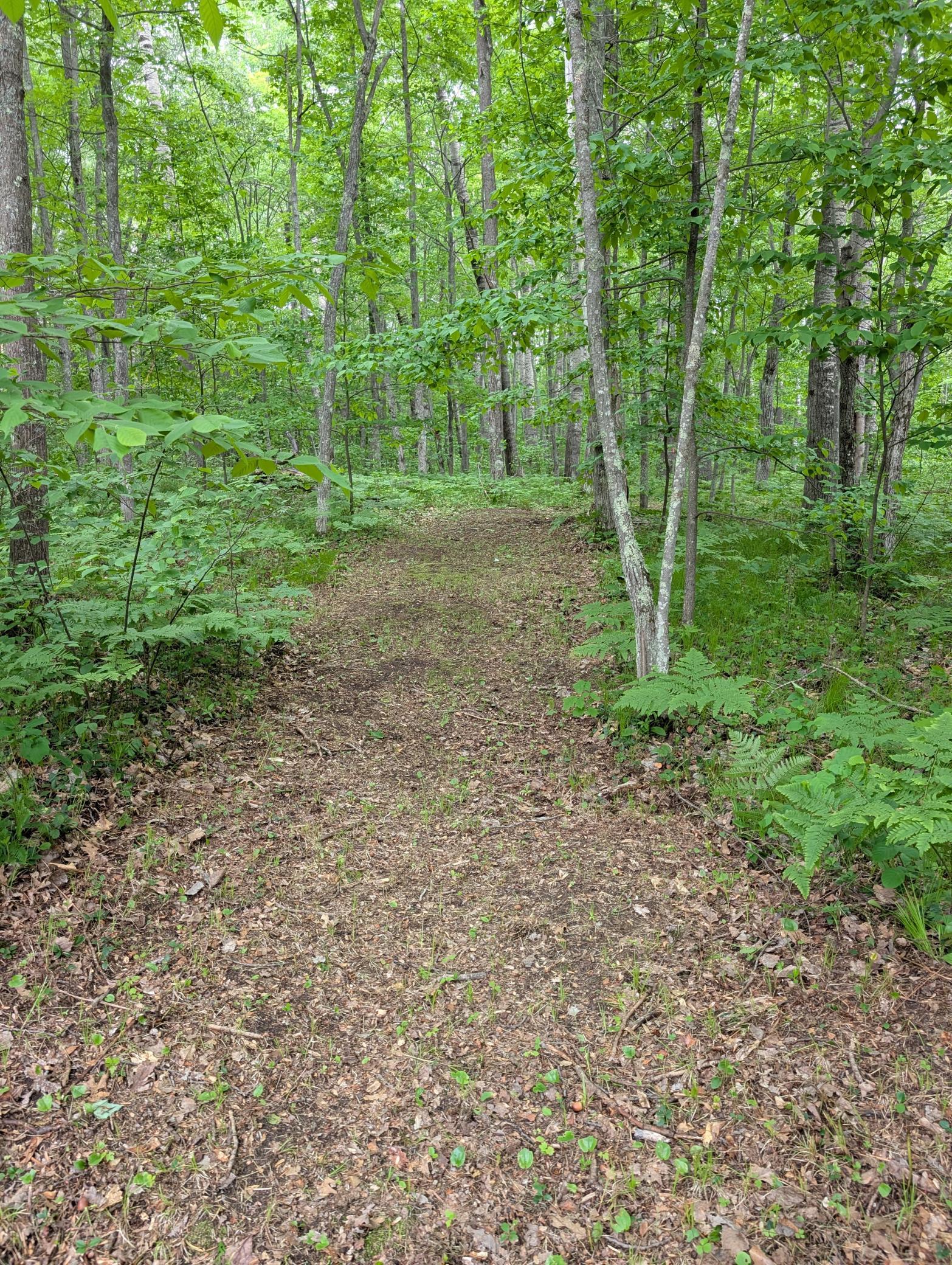 main property photo 10