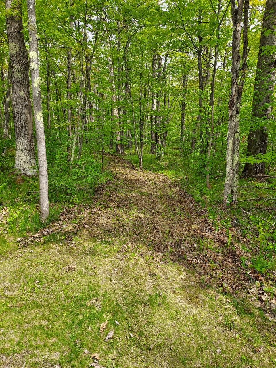main property photo 9