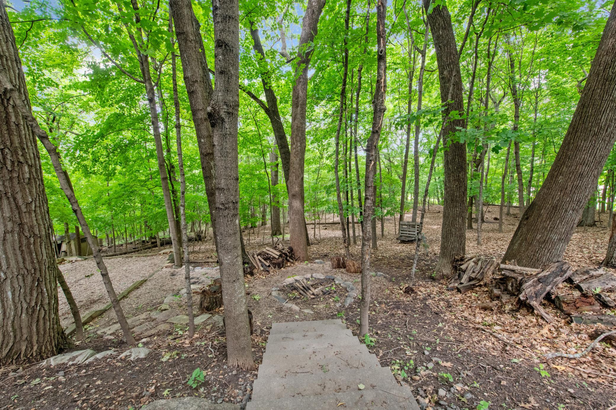main property photo 47