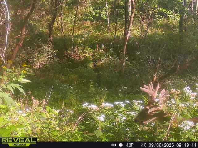 main property photo 20
