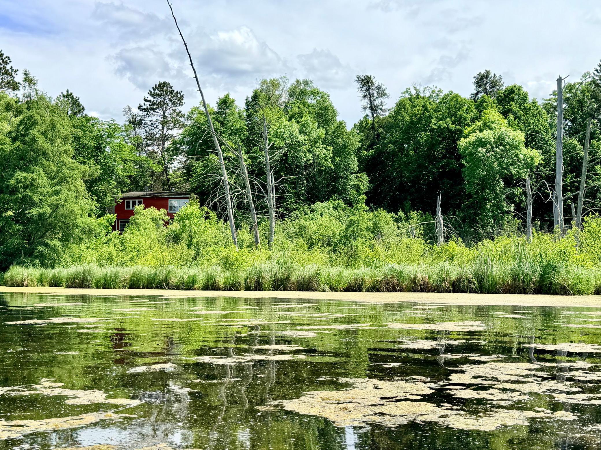 main property photo 39