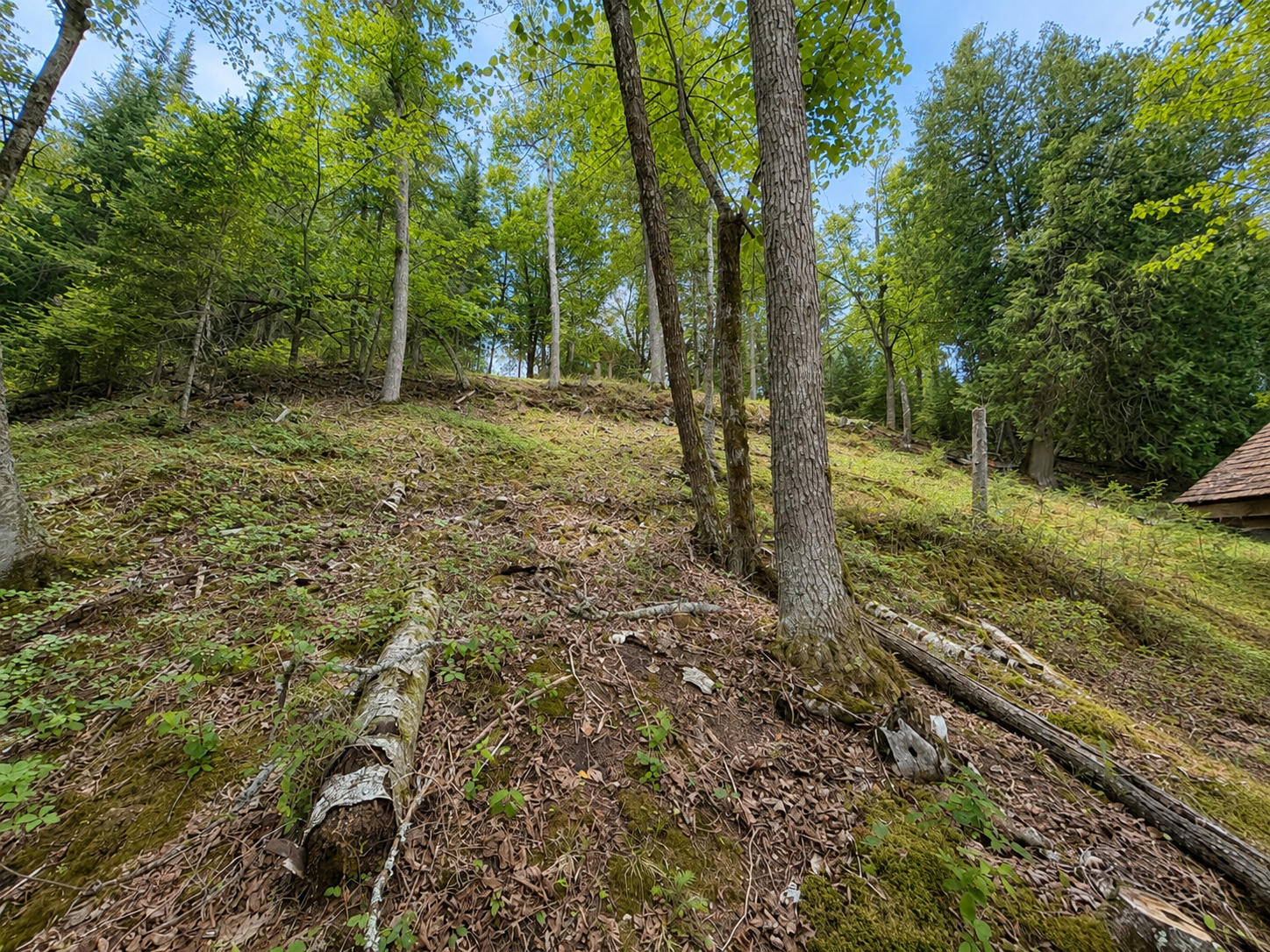 main property photo 49