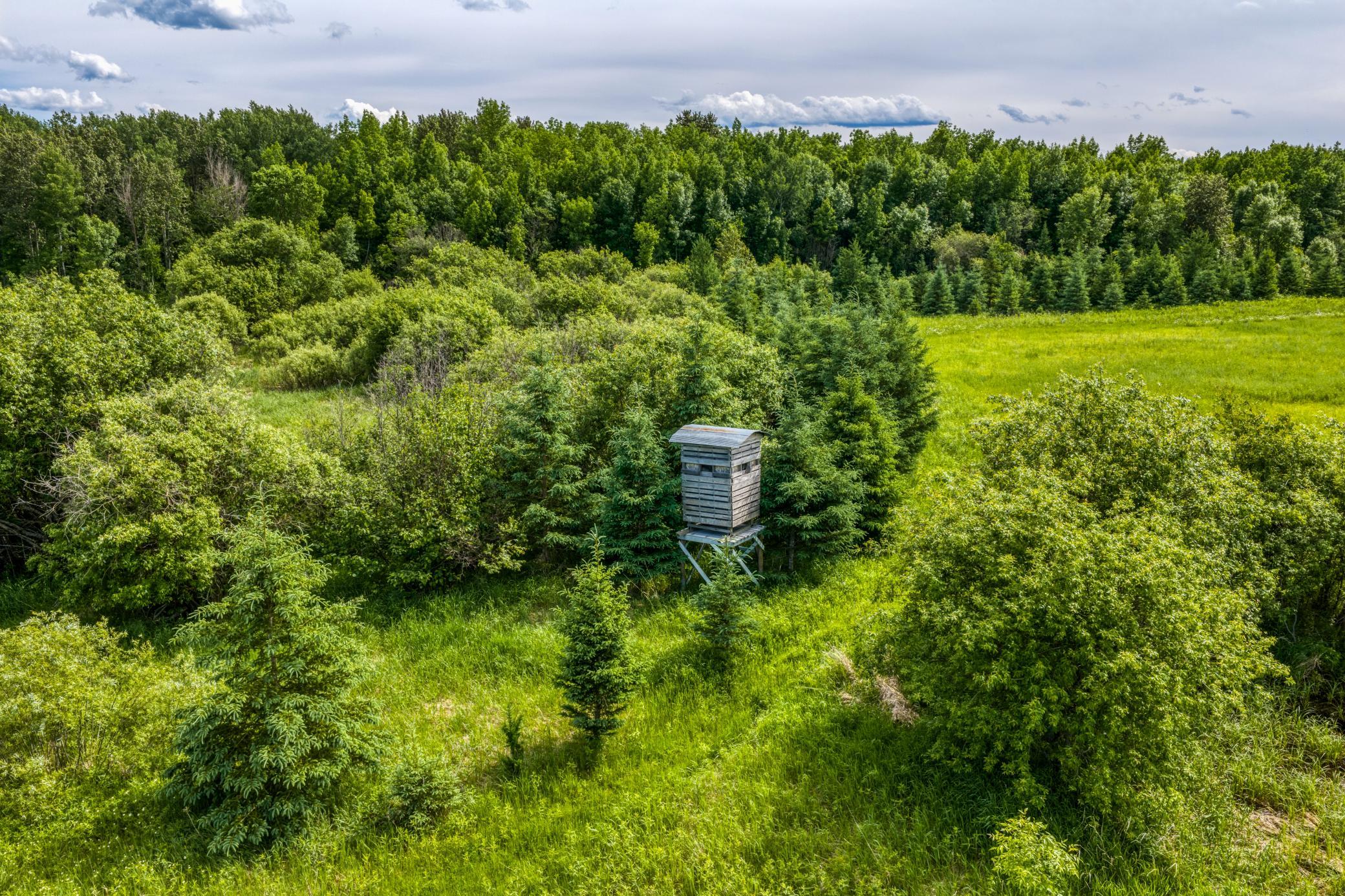 main property photo 50