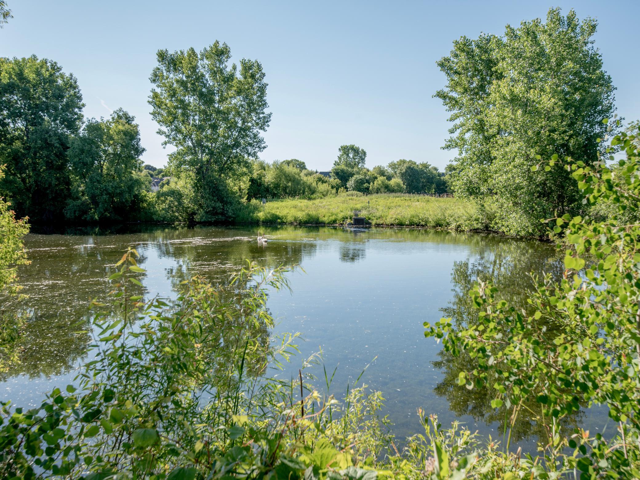 main property photo 53