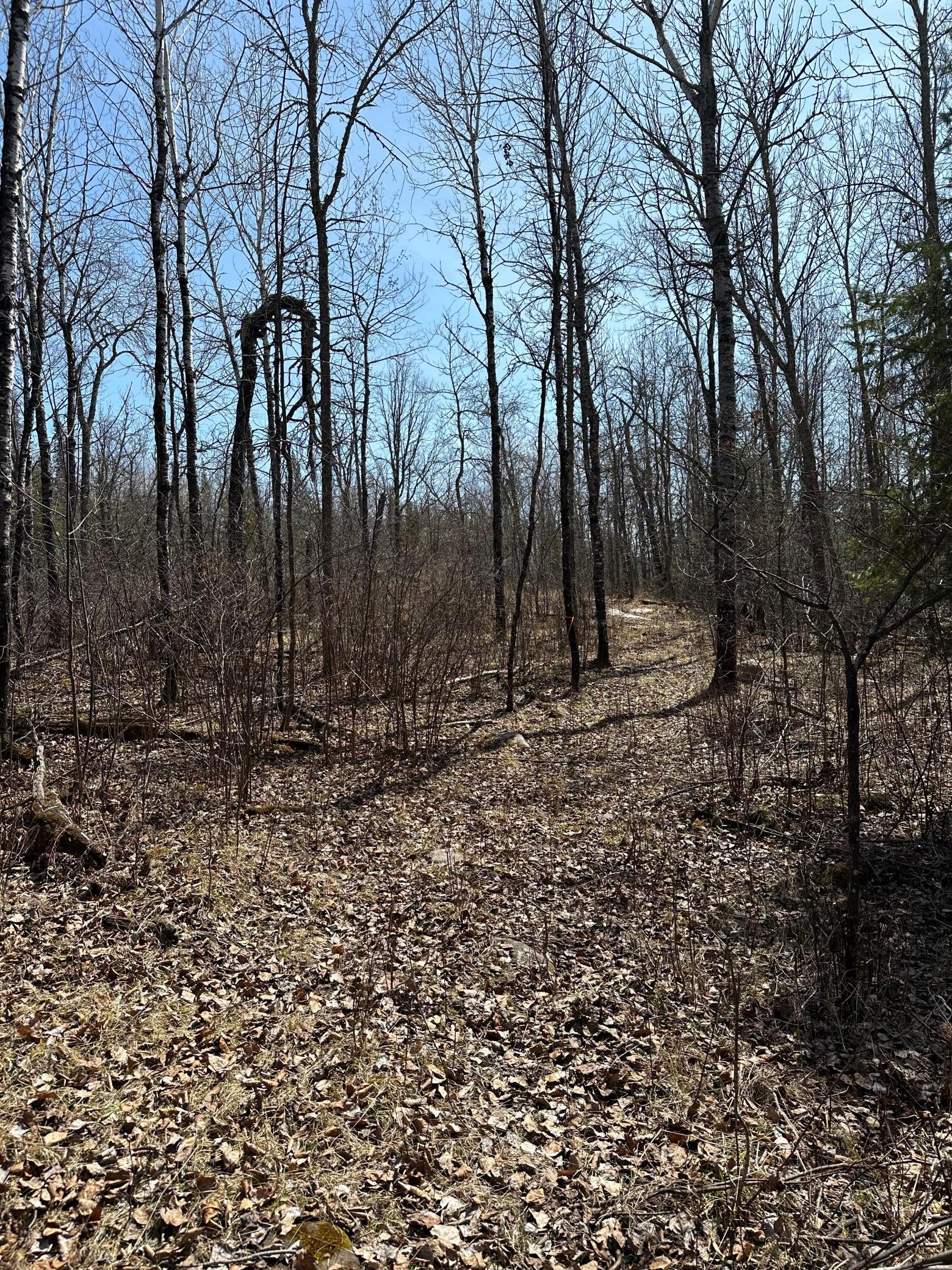 main property photo 20